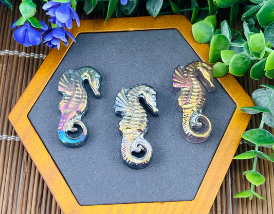Angel aura agate seahorse