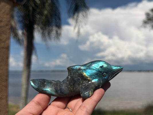 🐬 Natural Labradorite Dolphin Carving