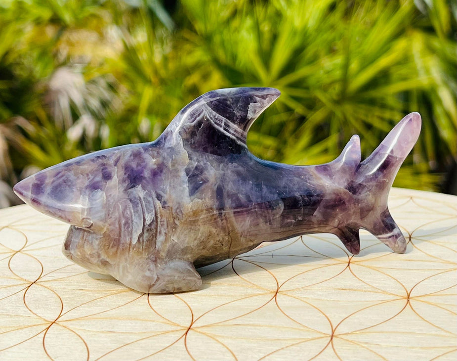 Rare Chevron Dream Amethyst Shark (Large)