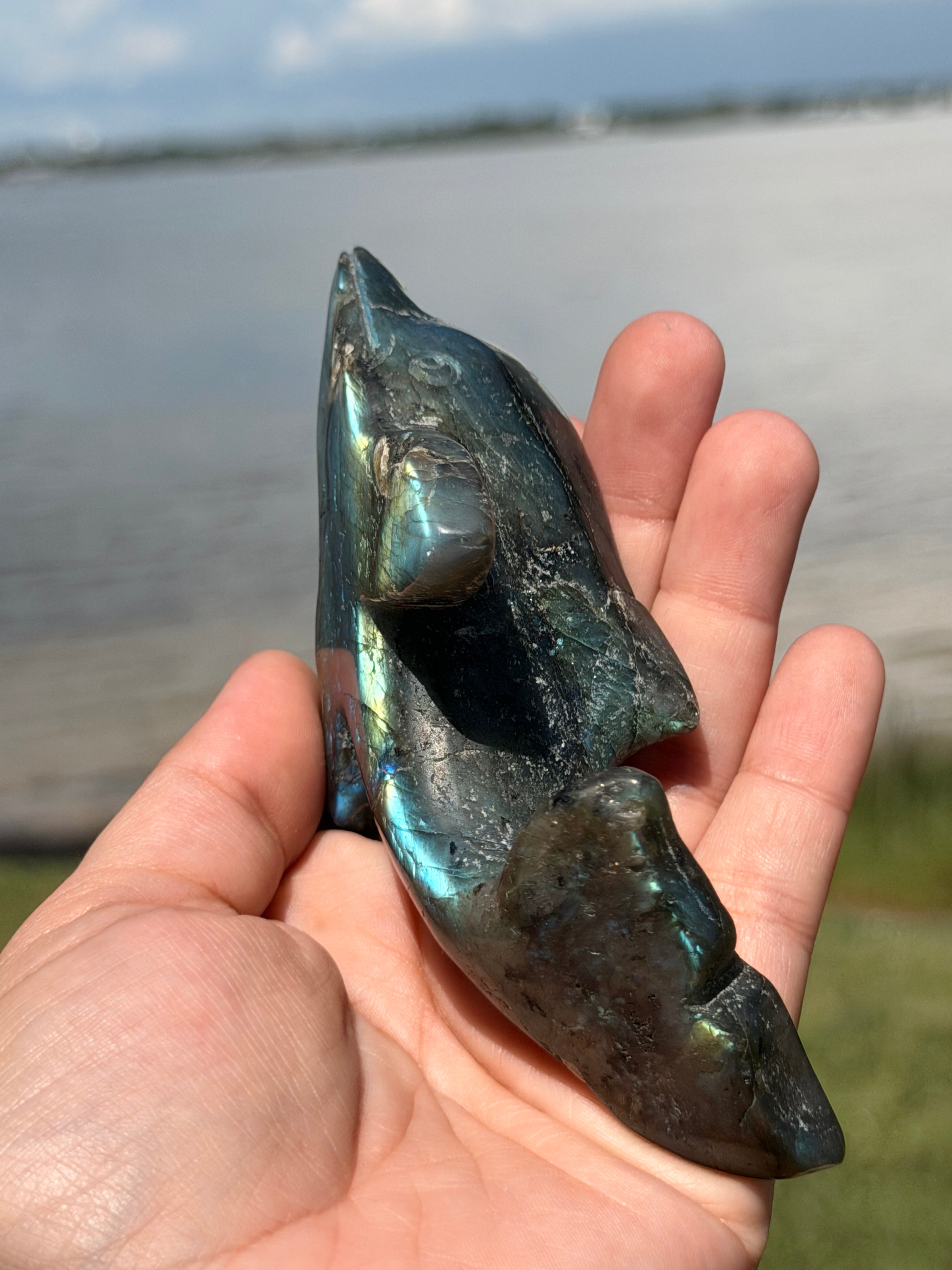 🐬 Natural Labradorite Dolphin Carving