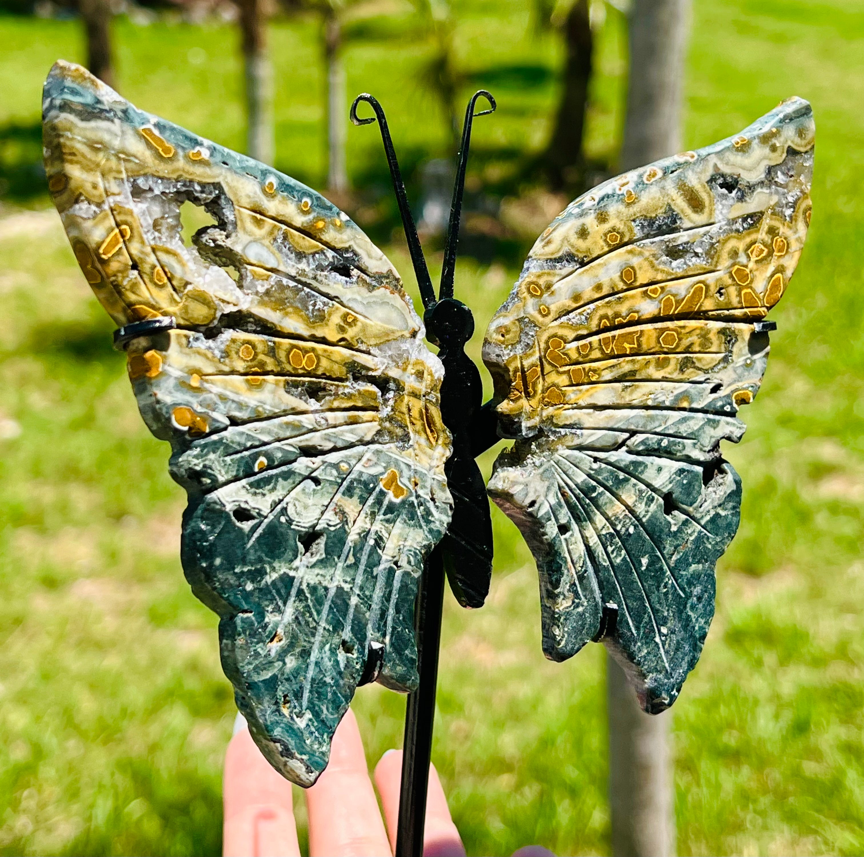 Druzy Ocean Jasper Butterfly