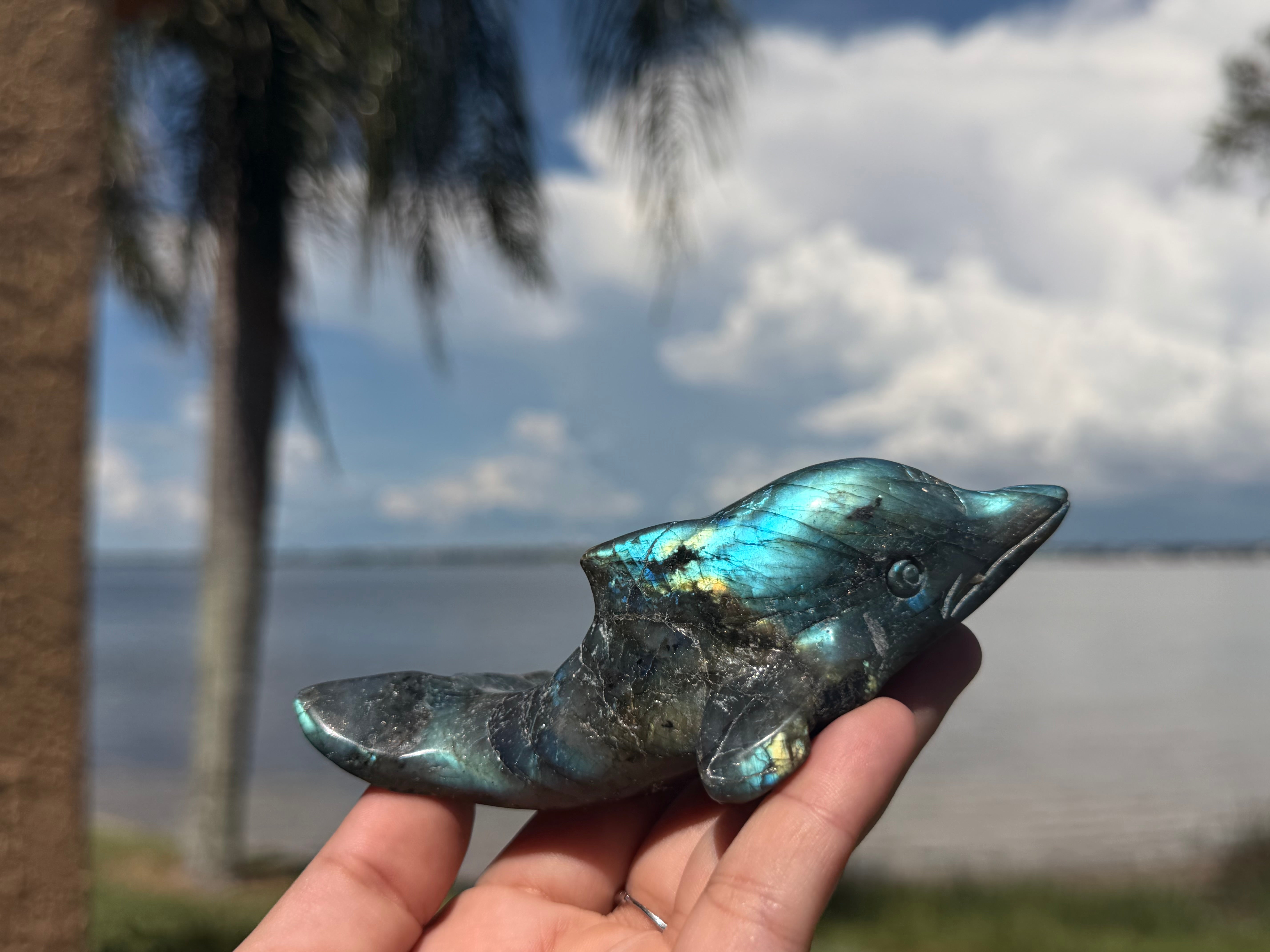 🐬 Natural Labradorite Dolphin Carving