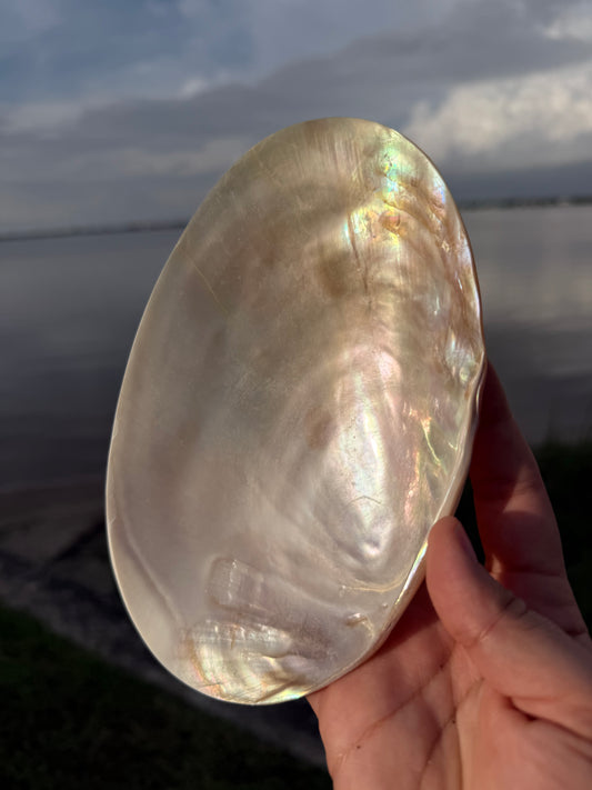 Mermaid Trinket Shell Bowl