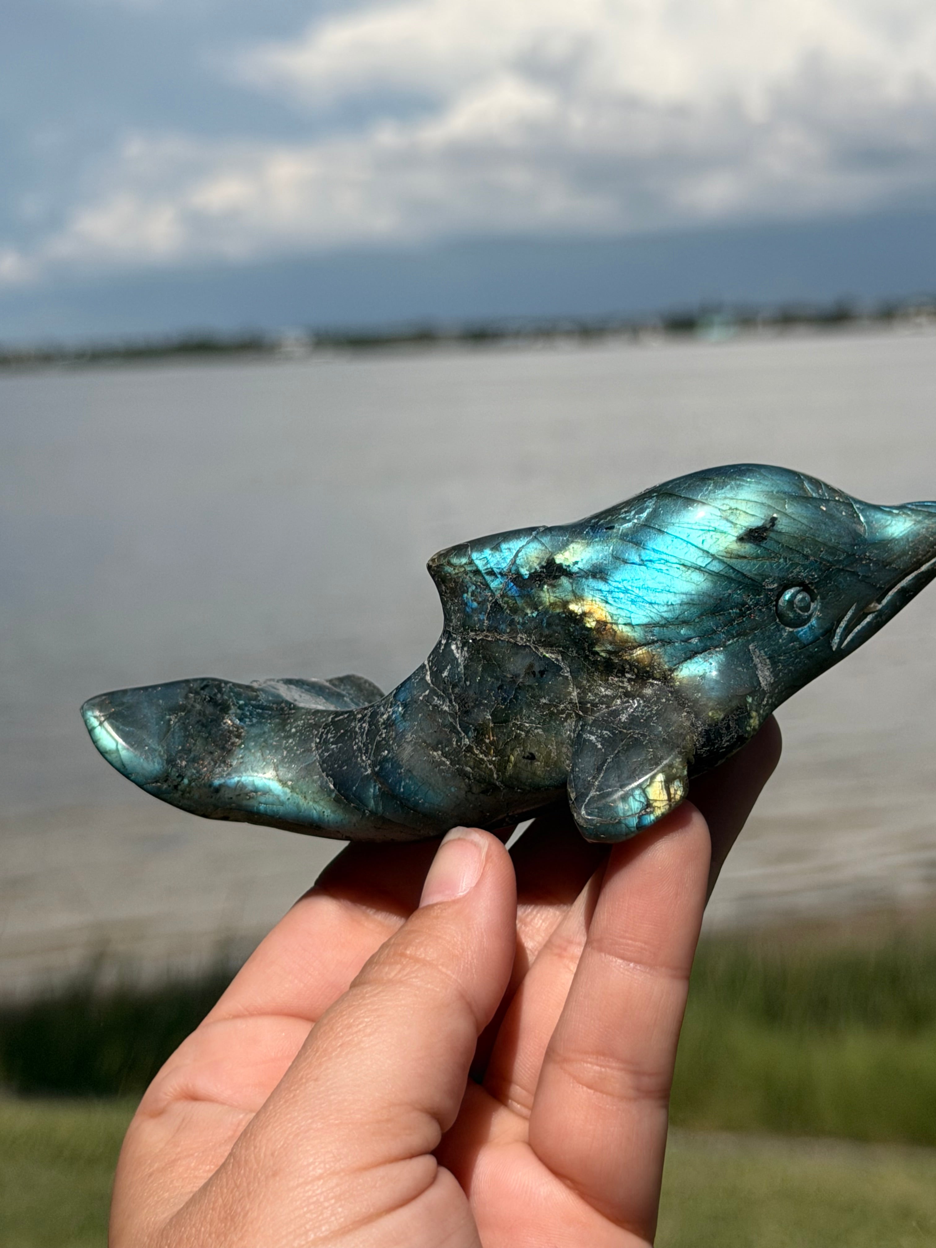 🐬 Natural Labradorite Dolphin Carving