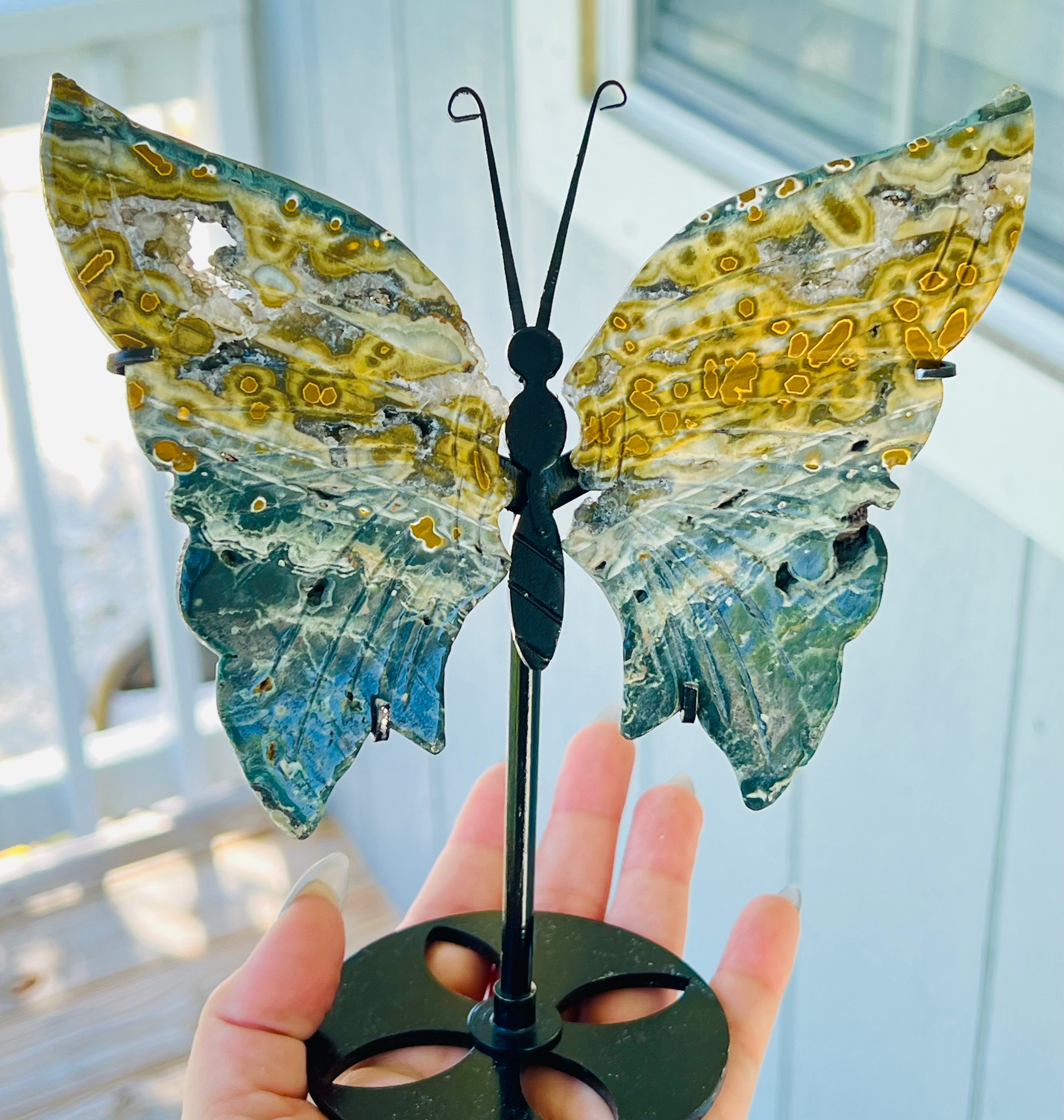 Druzy Ocean Jasper Butterfly