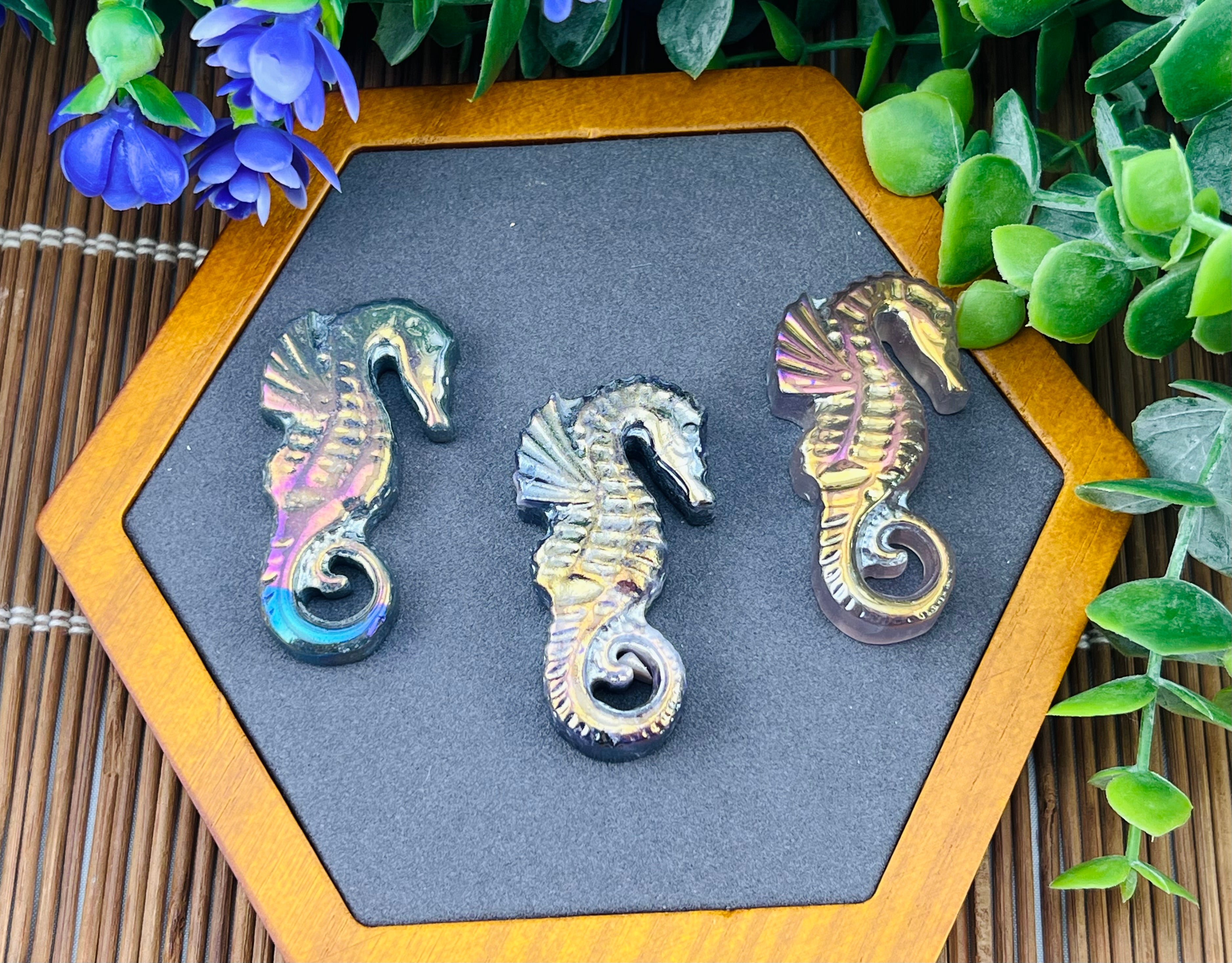 Angel aura agate seahorse