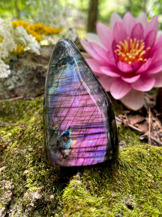 Purple Labradorite Freeform