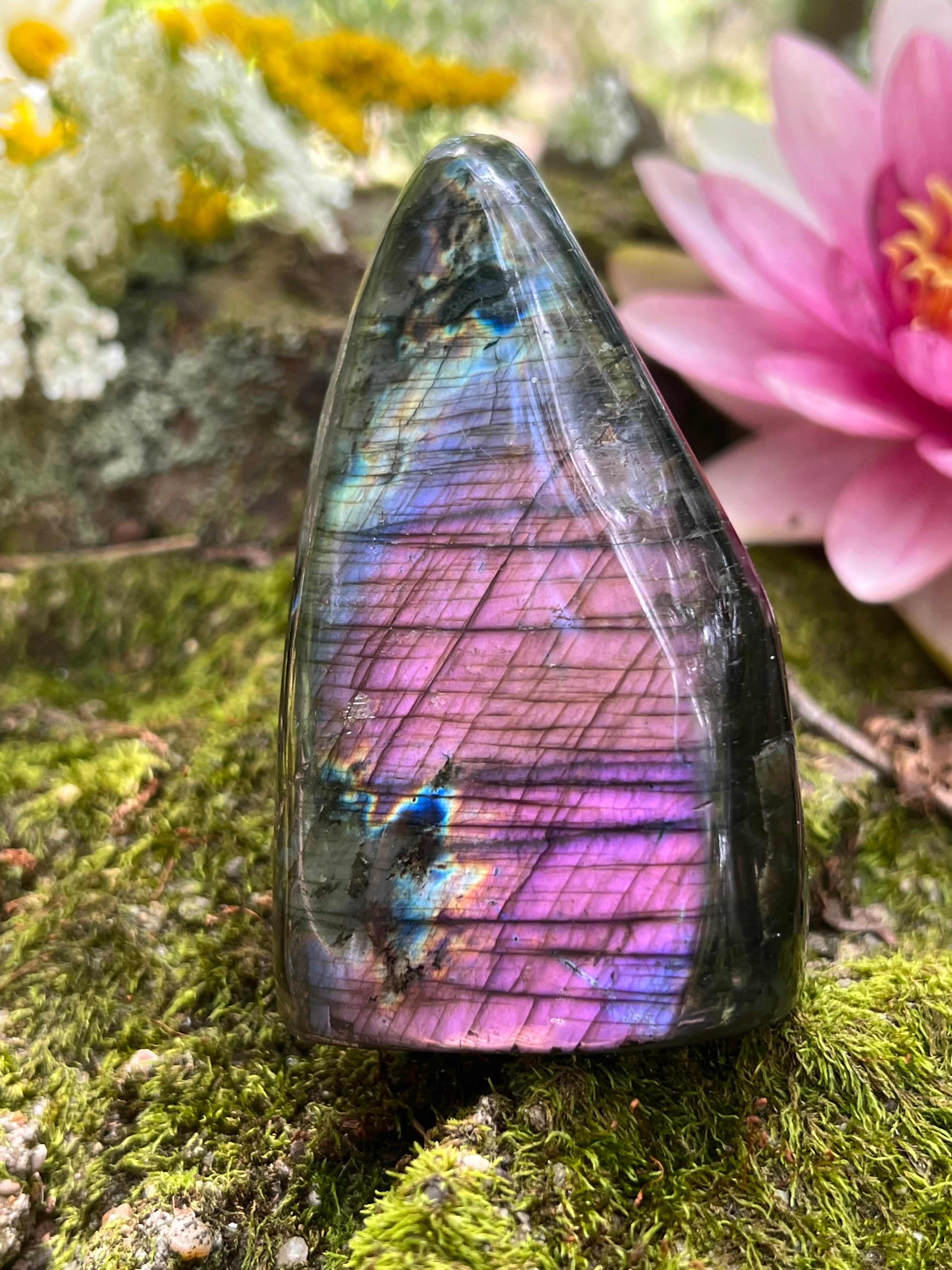 Purple Labradorite Freeform