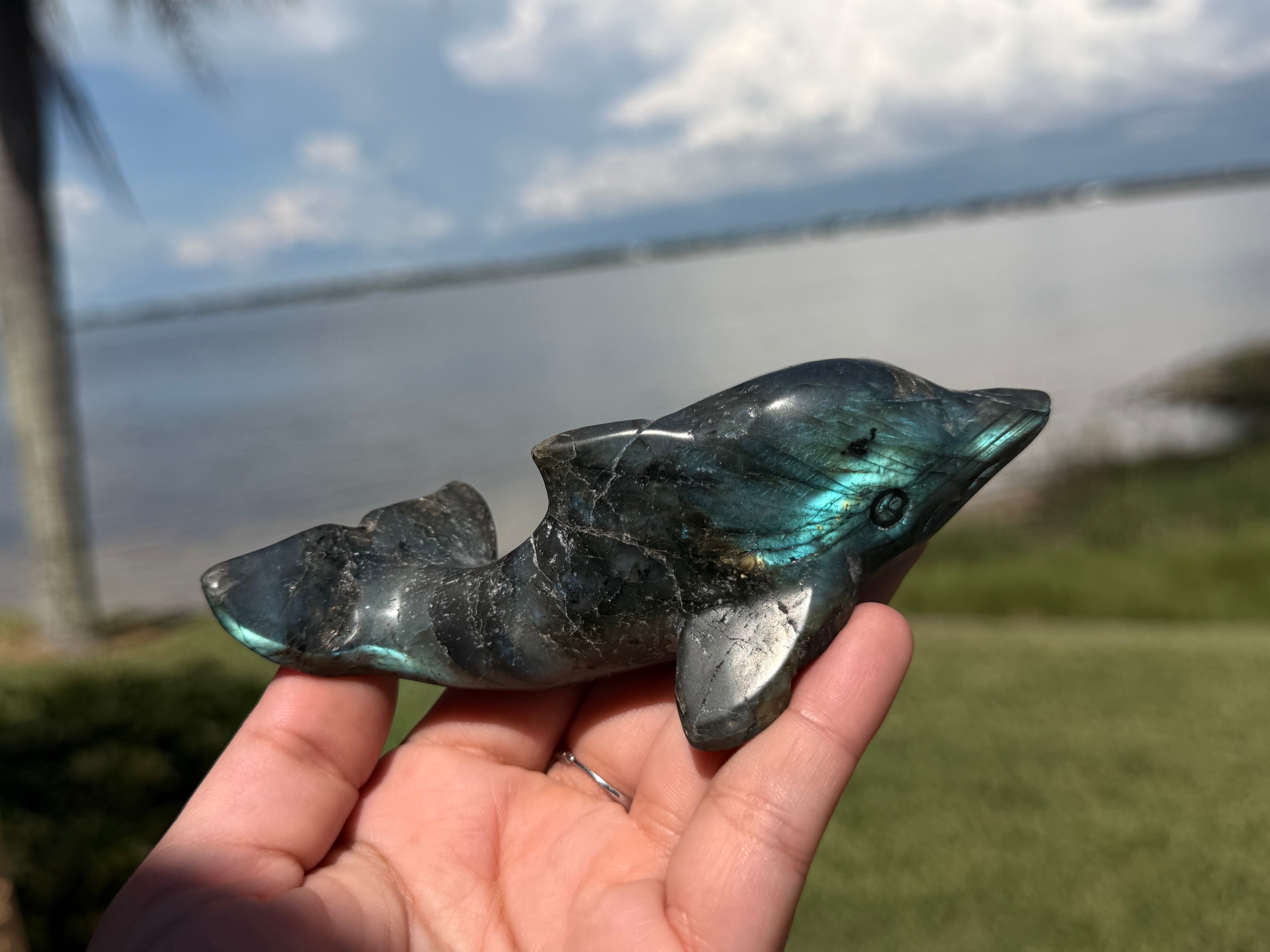🐬 Natural Labradorite Dolphin Carving