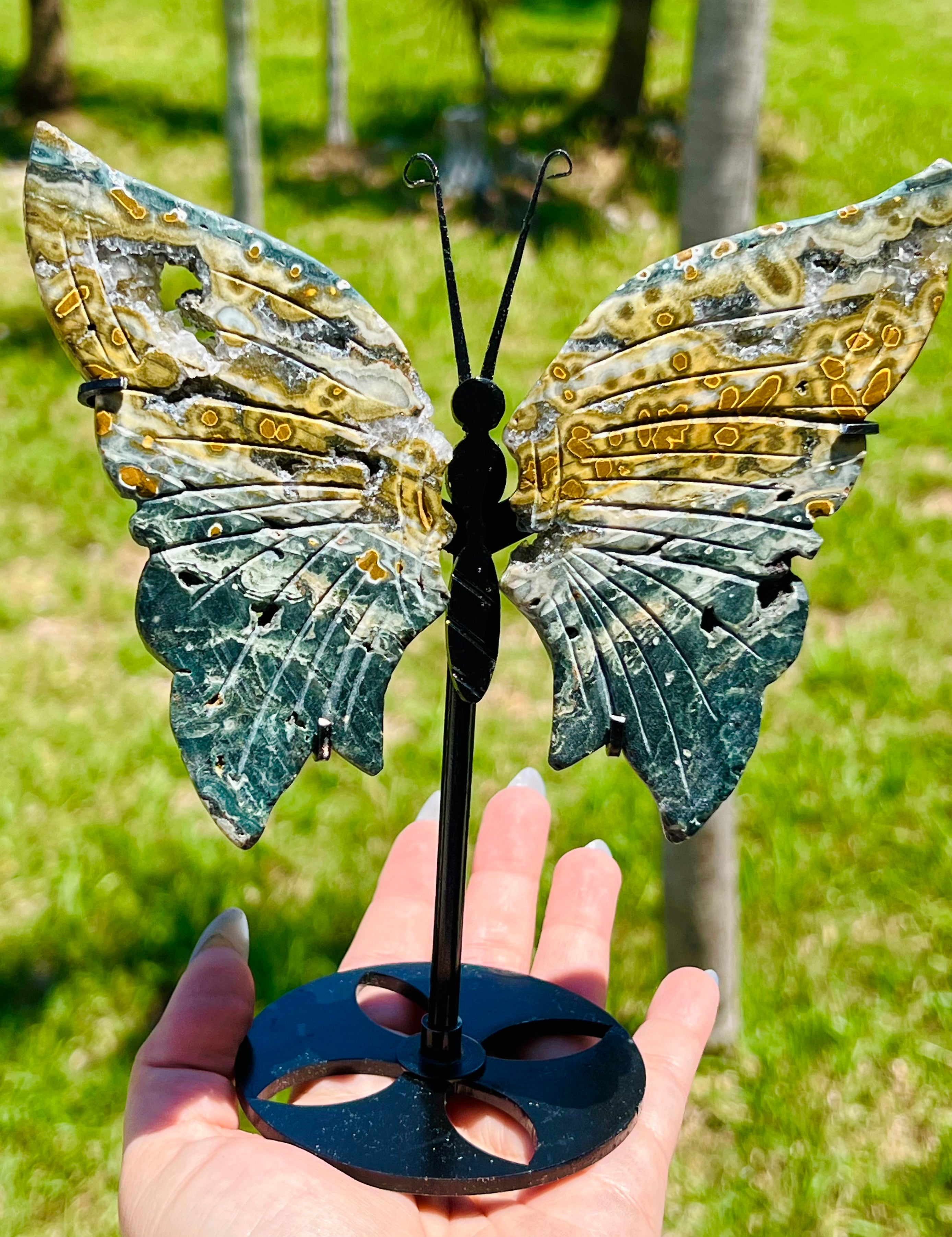 Druzy Ocean Jasper Butterfly