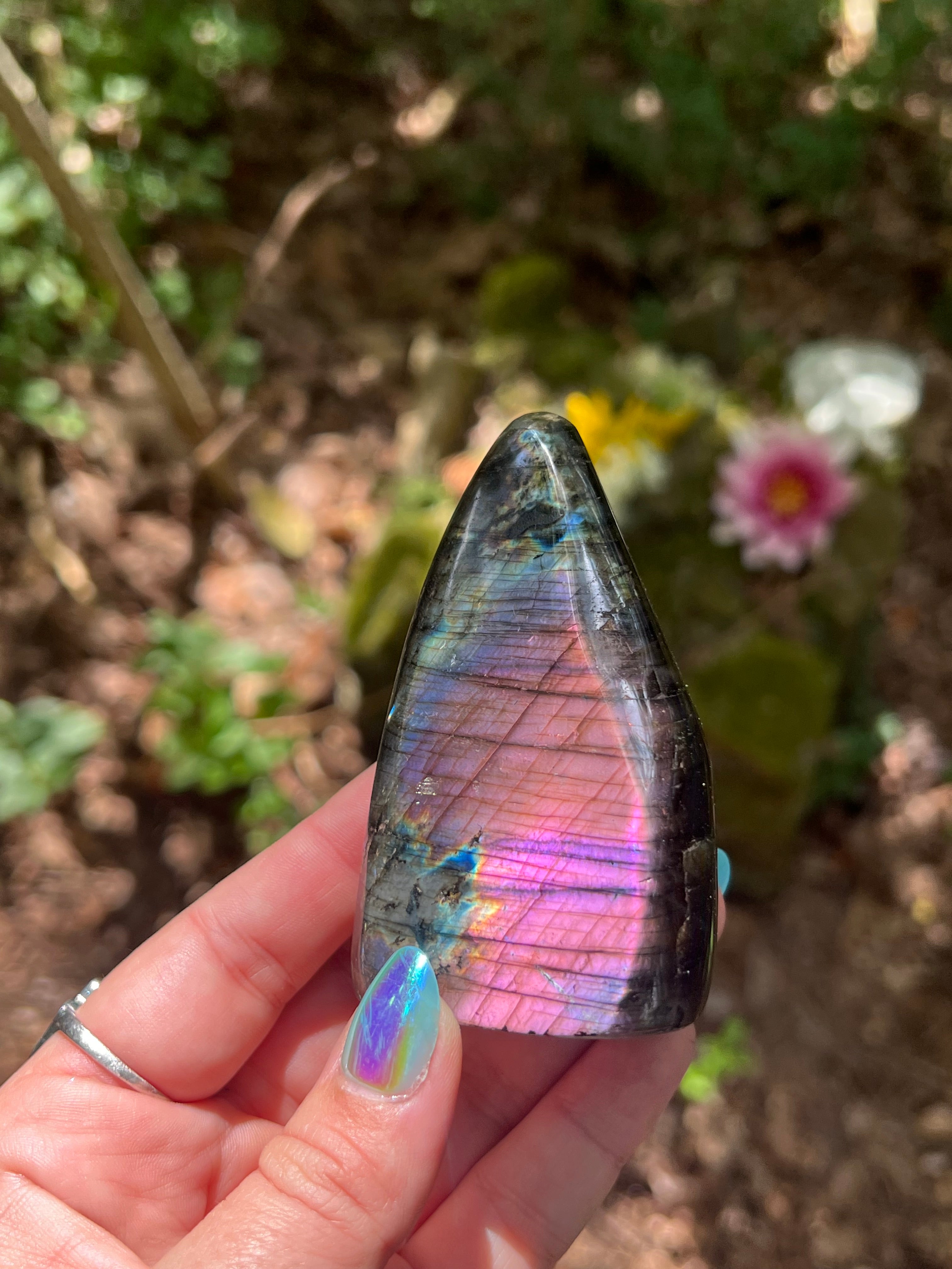 Purple Labradorite Freeform