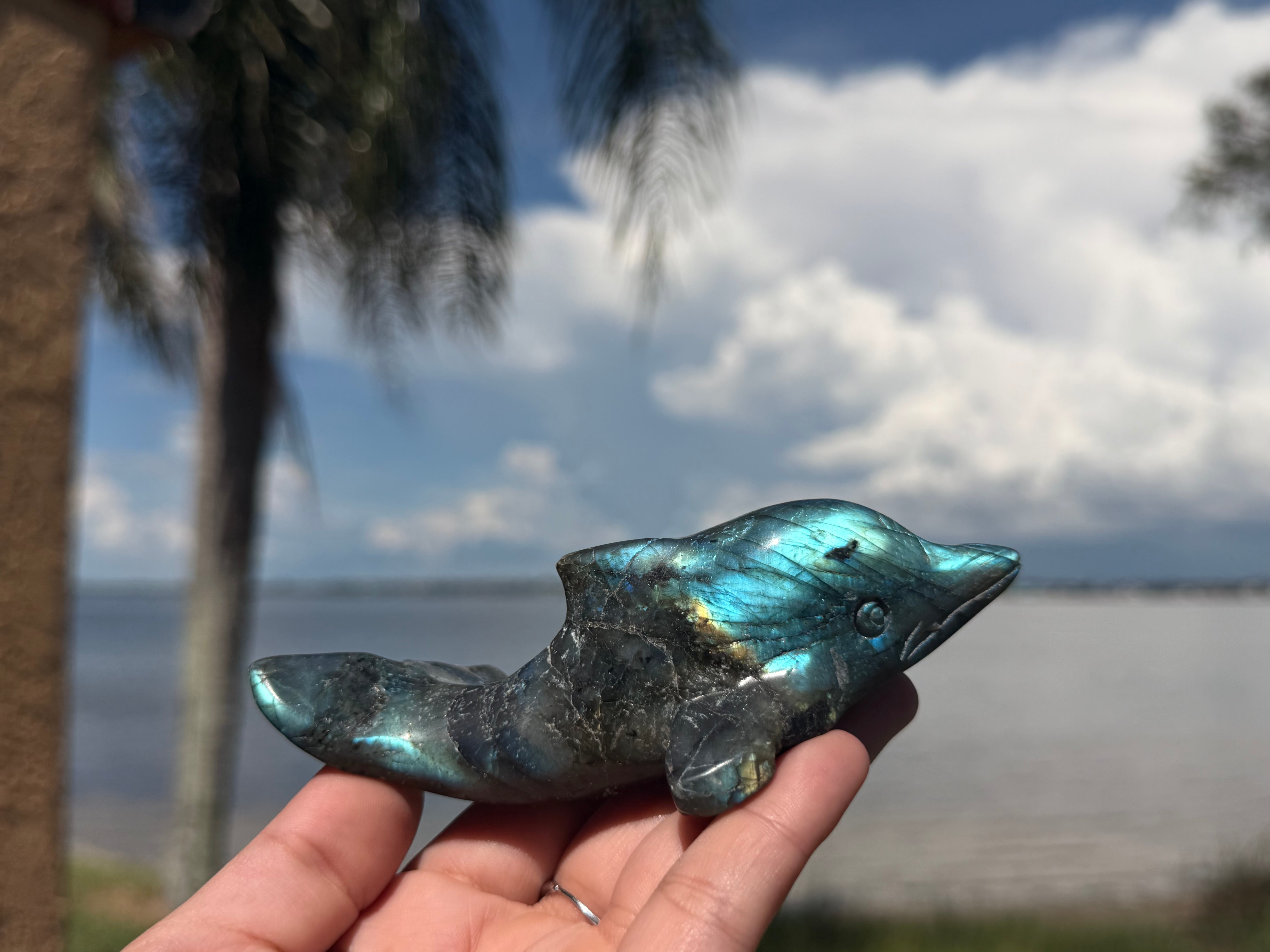 🐬 Natural Labradorite Dolphin Carving
