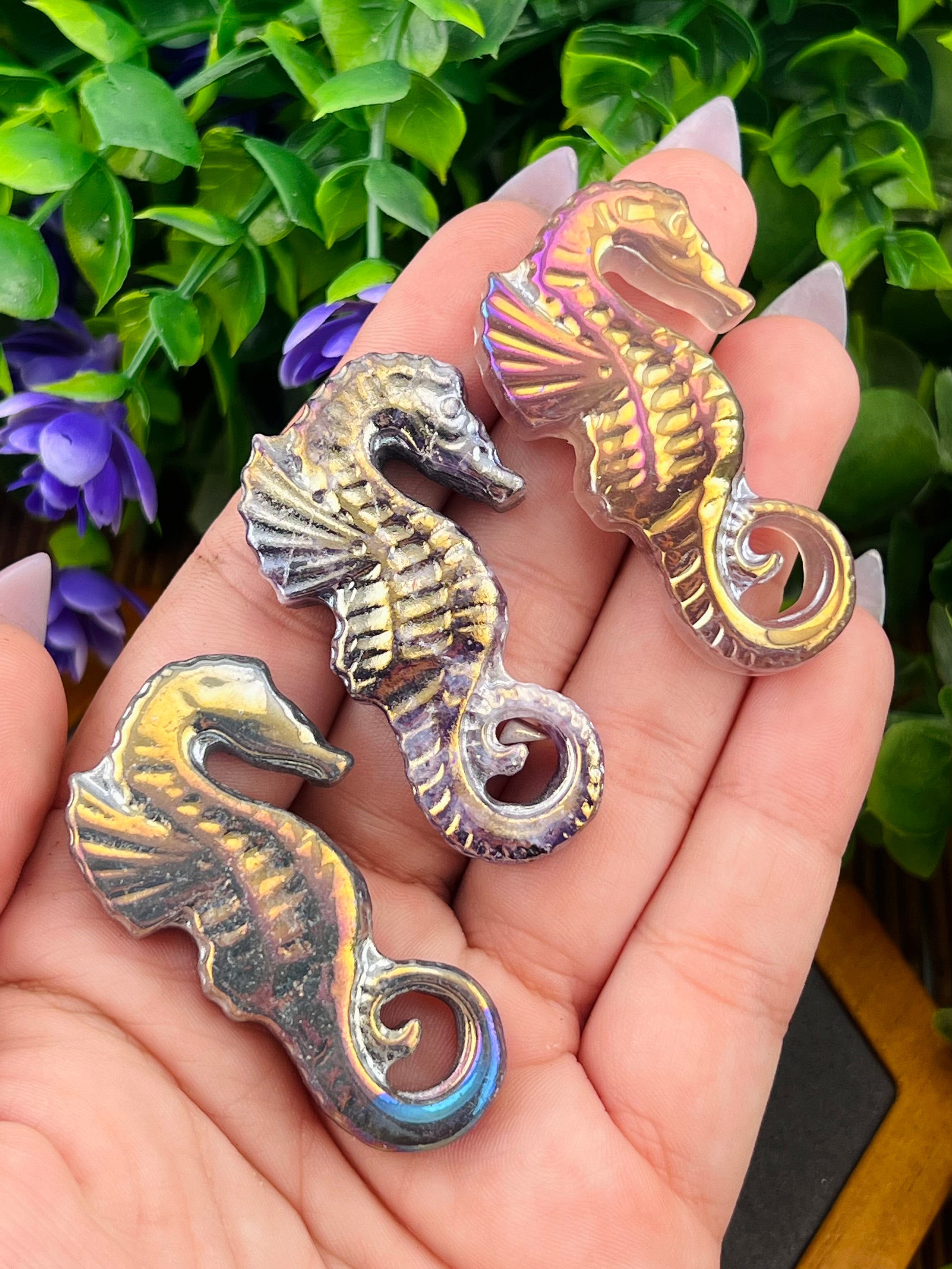 Angel aura agate seahorse