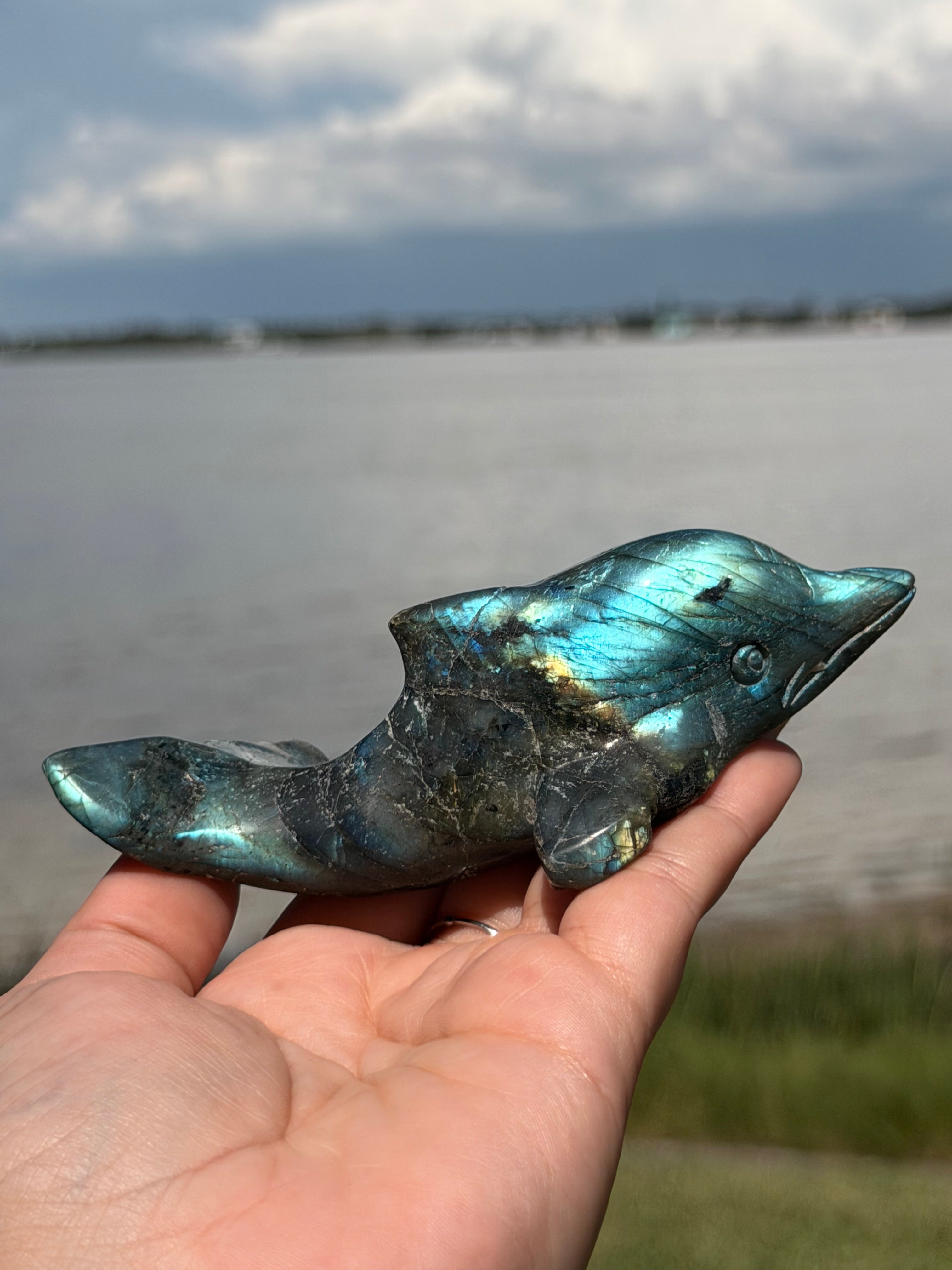 🐬 Natural Labradorite Dolphin Carving