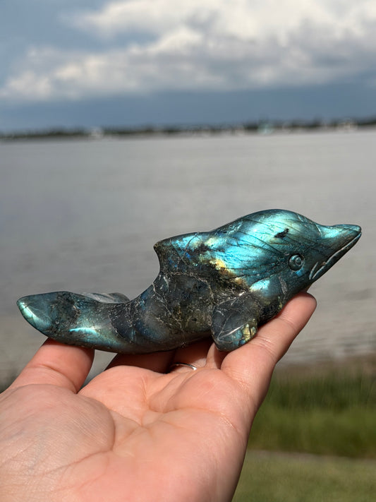 🐬 Natural Labradorite Dolphin Carving