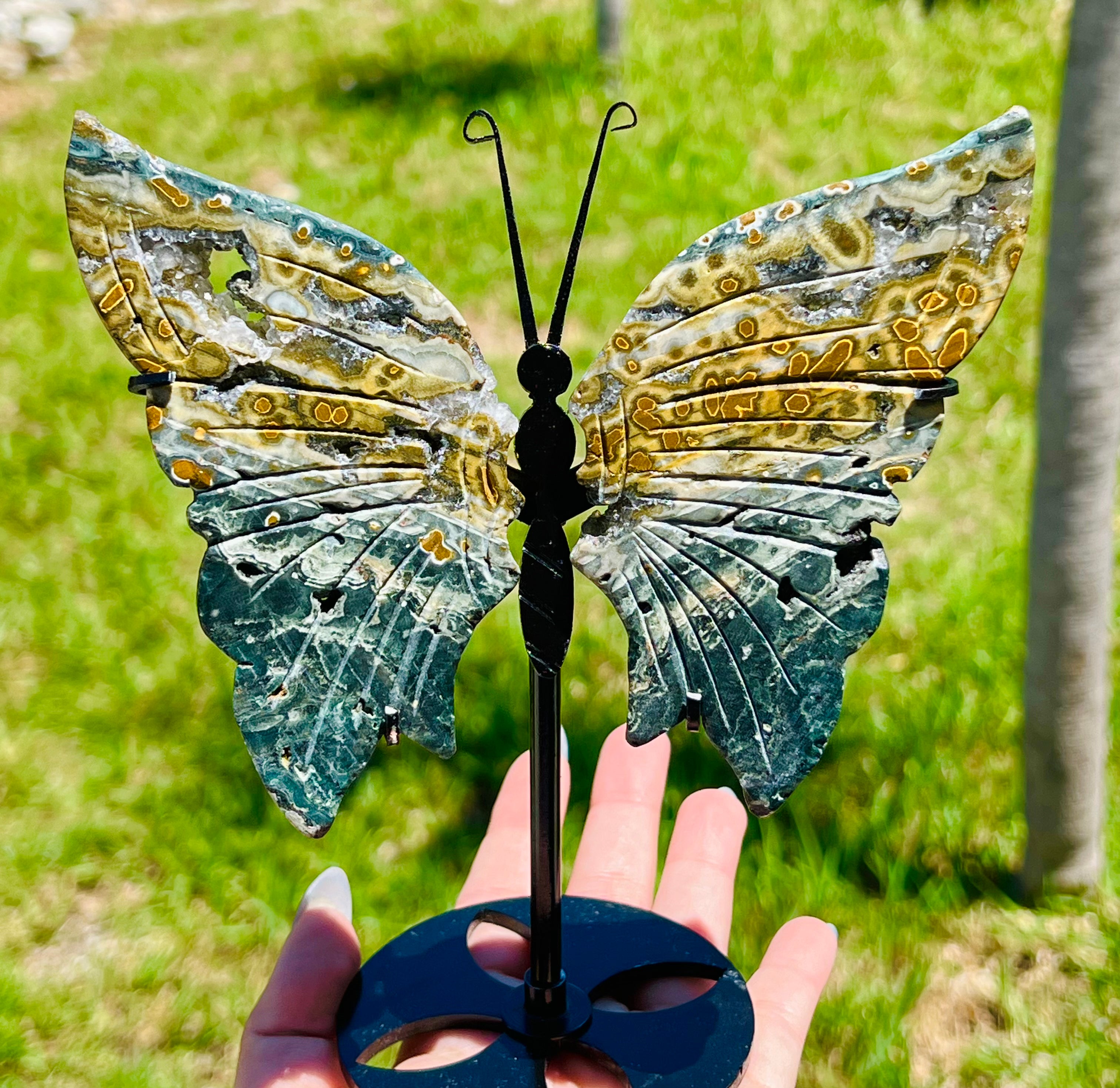 Druzy Ocean Jasper Butterfly