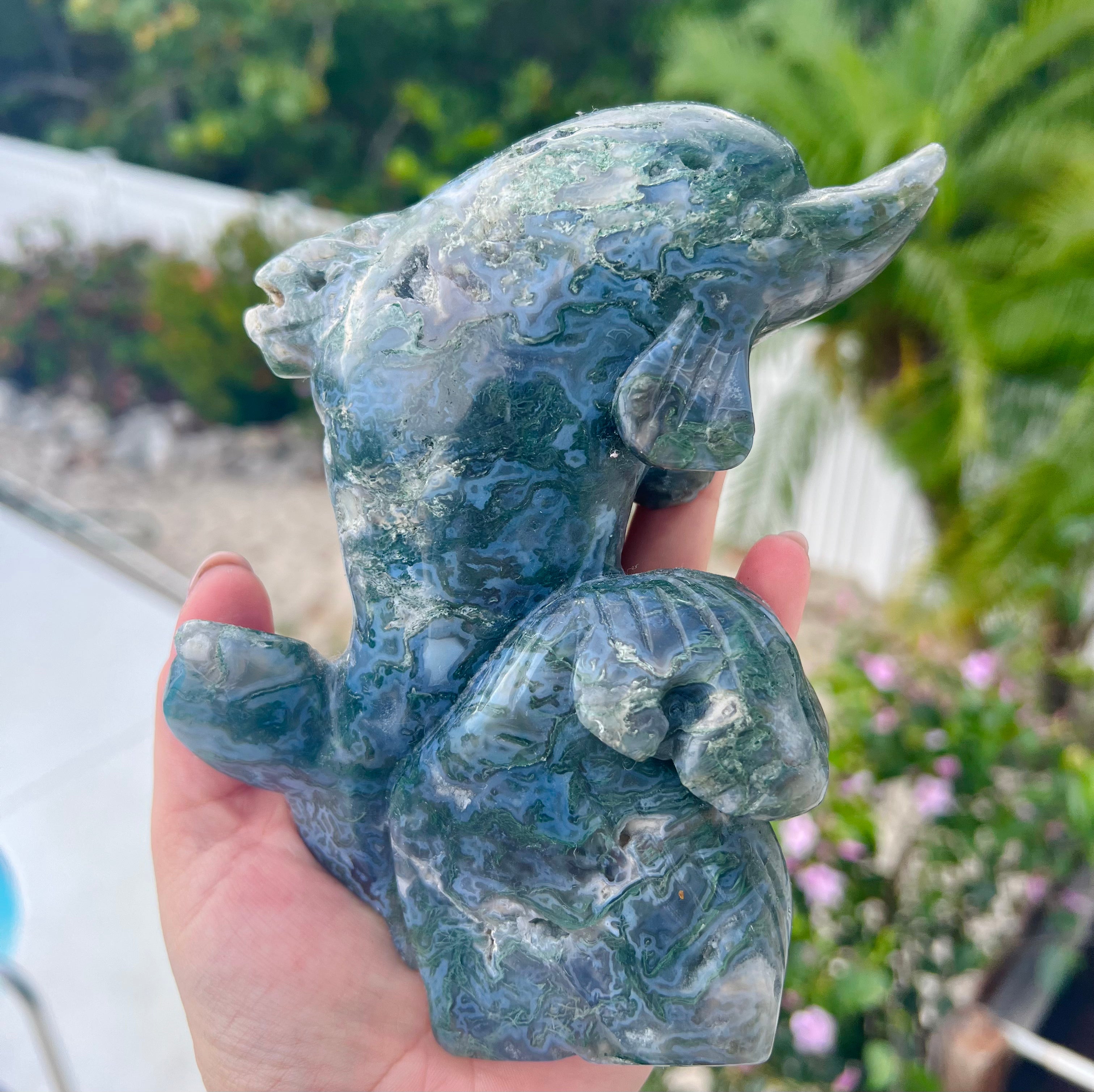 Druzy Moss Agate Crystal Dolphin