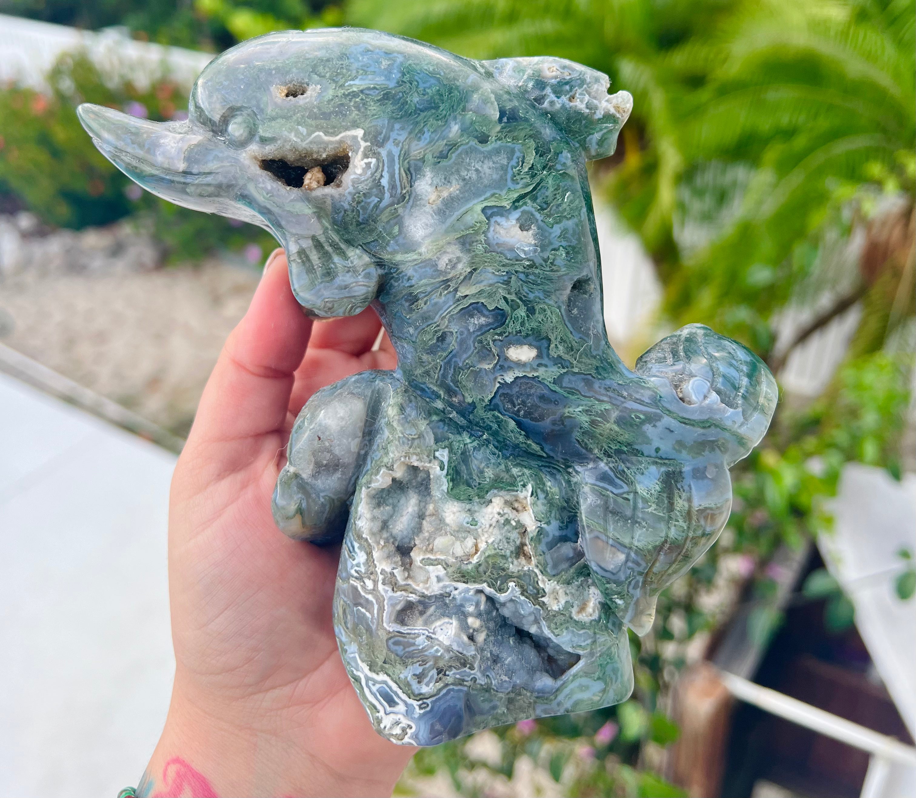 Druzy Moss Agate Crystal Dolphin