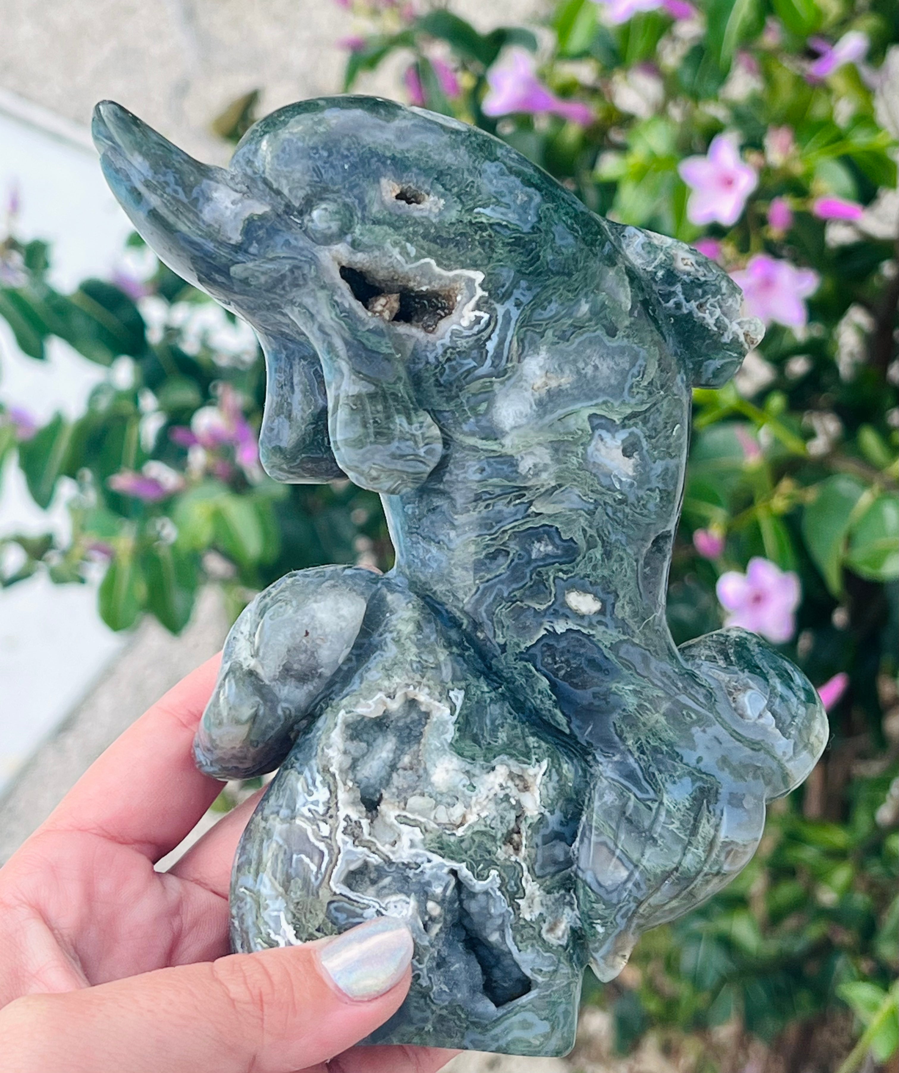 Druzy Moss Agate Crystal Dolphin