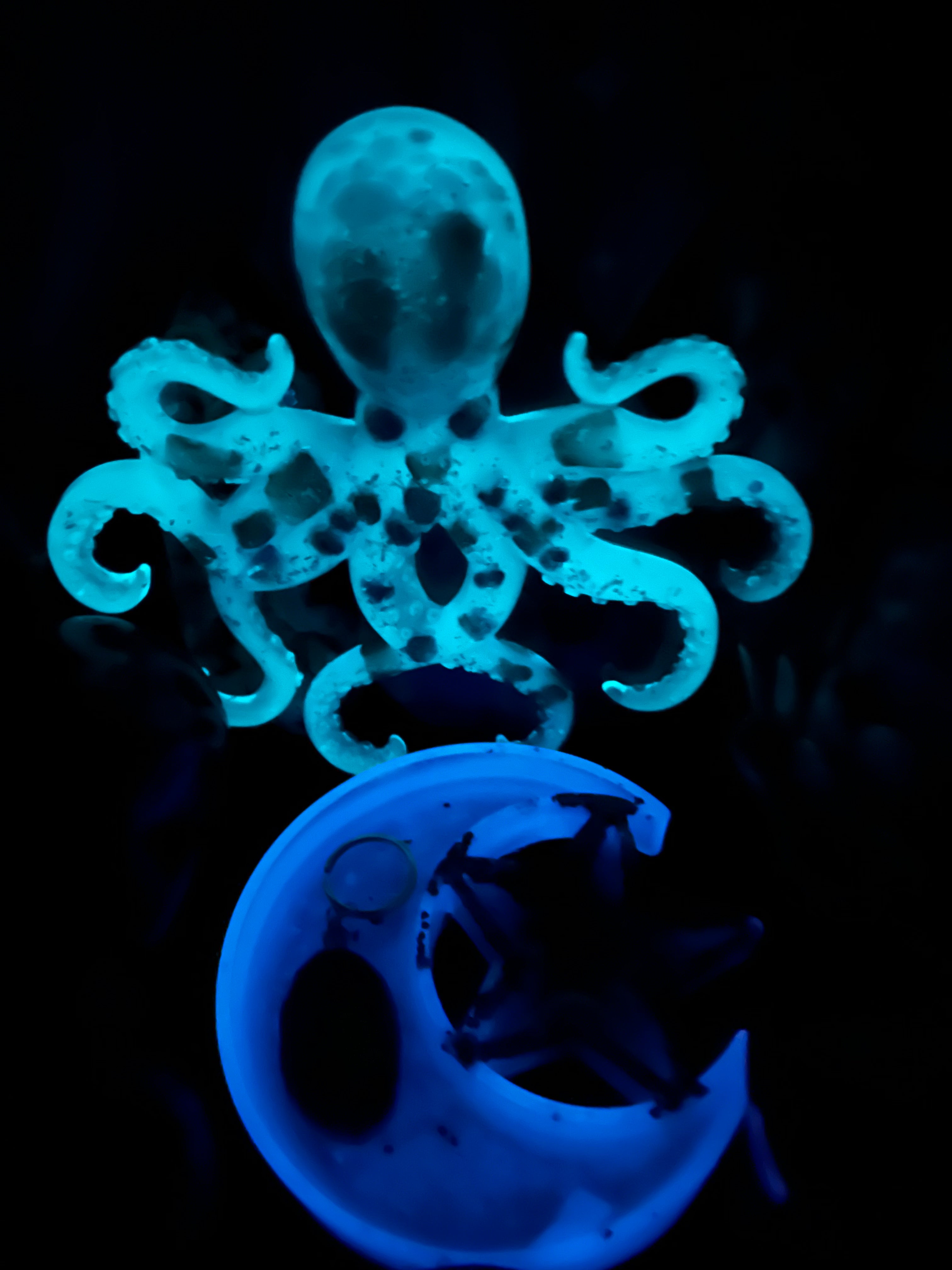 Crystal Glow Octopus