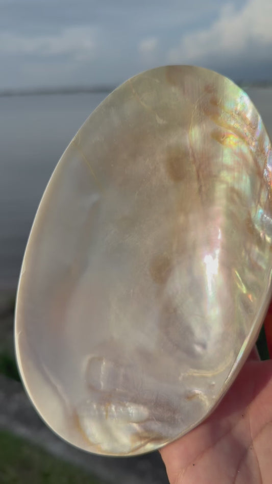 Mermaid Trinket Shell Bowl