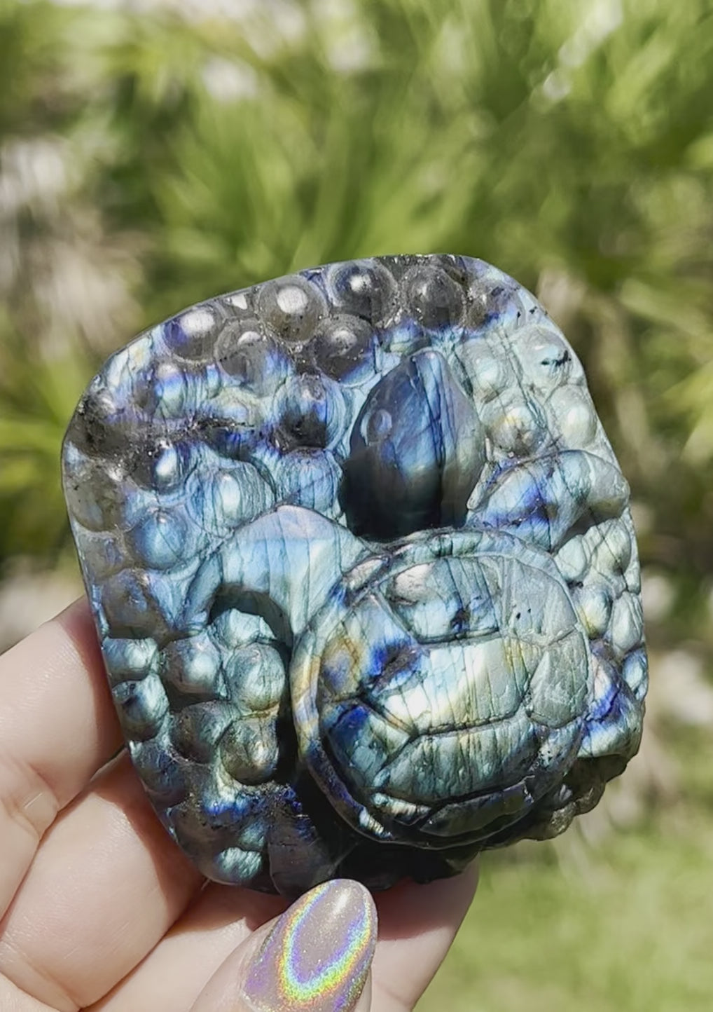 Labradorite Magical Turtle Carving