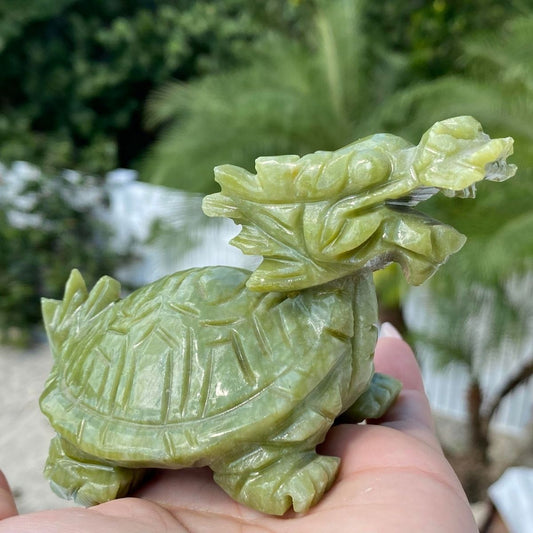 Natural Jade Dragon Turtle