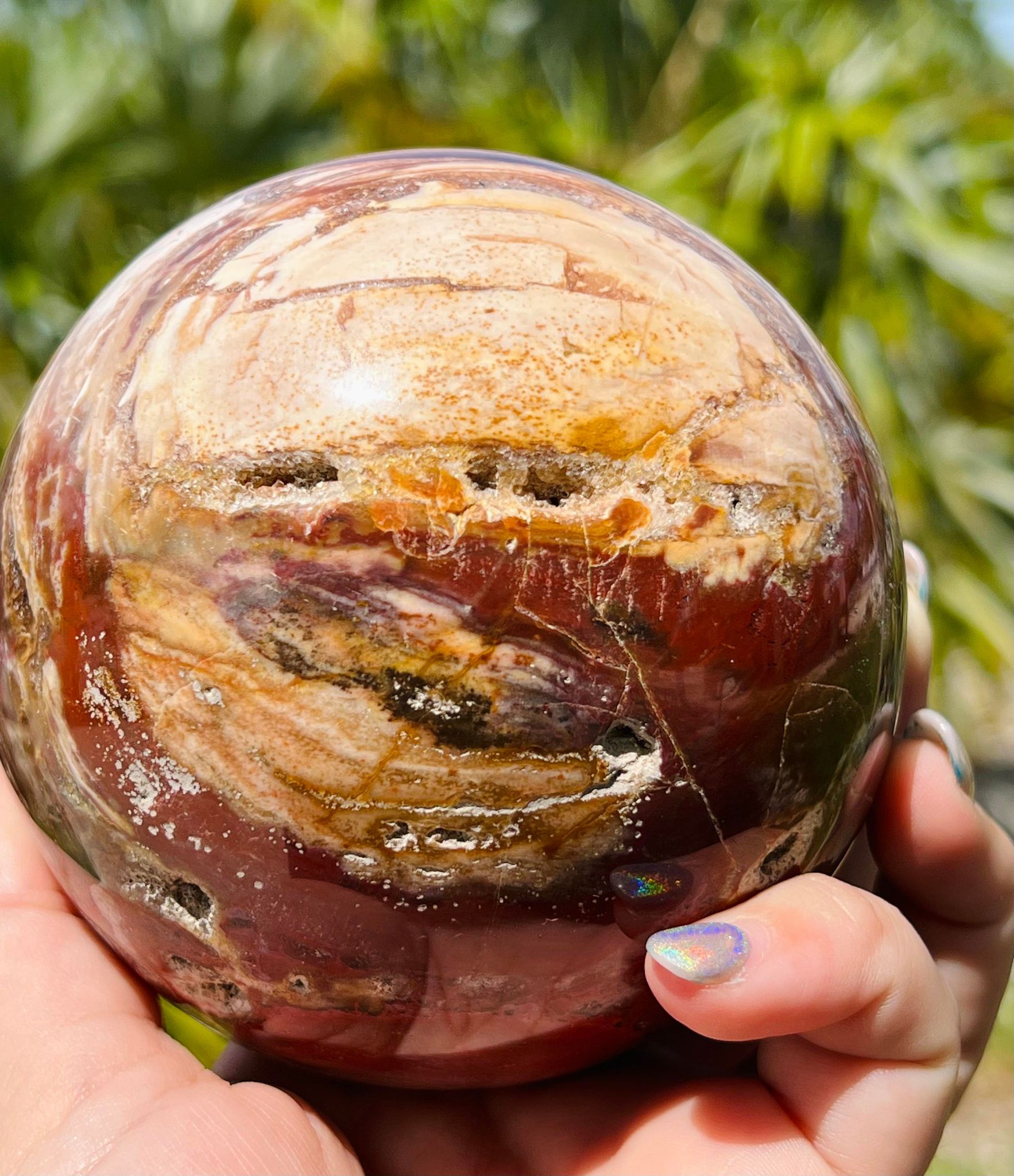 Petrified wood sphere (XLarge)