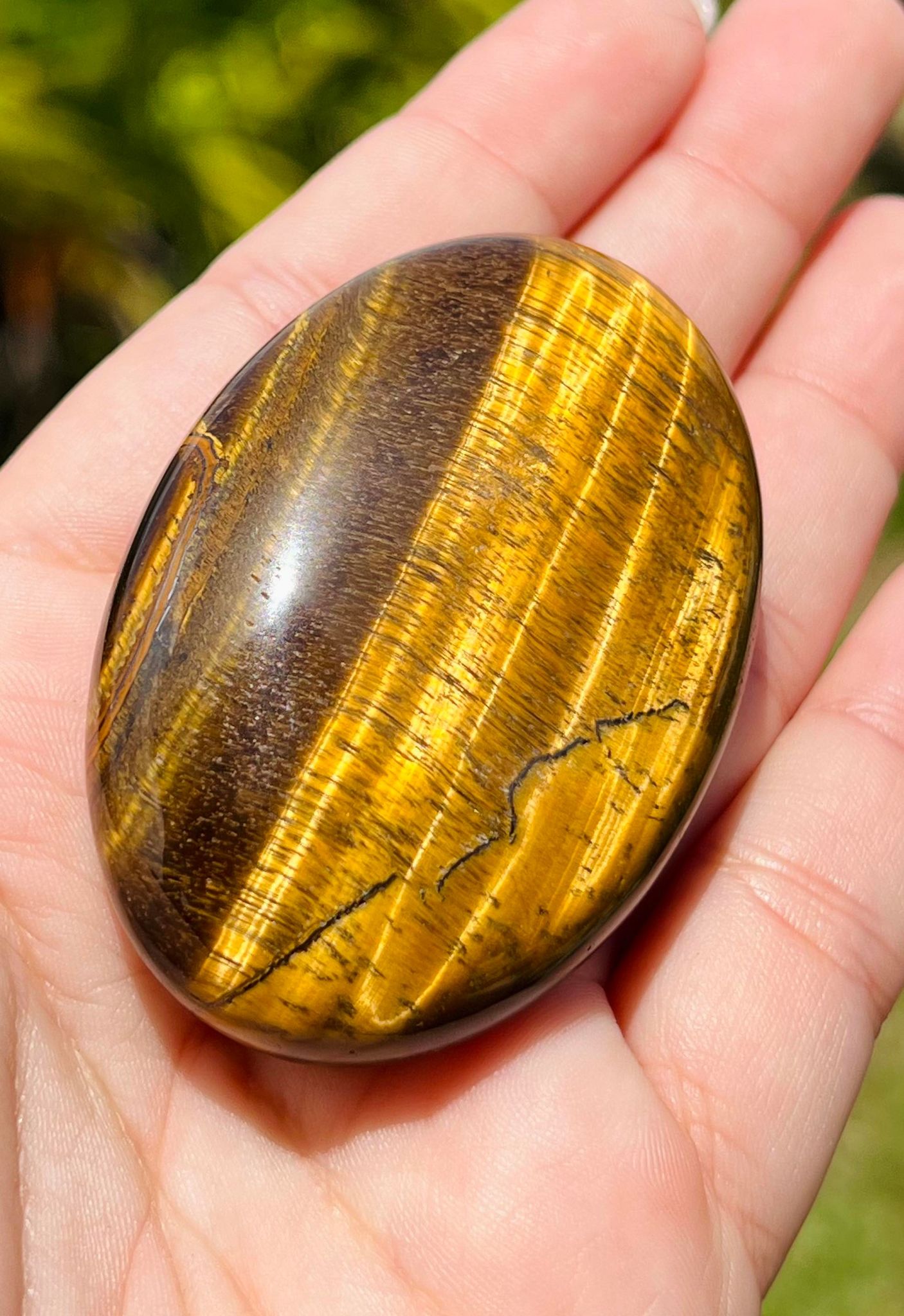 Tiger Eye Palm Stone