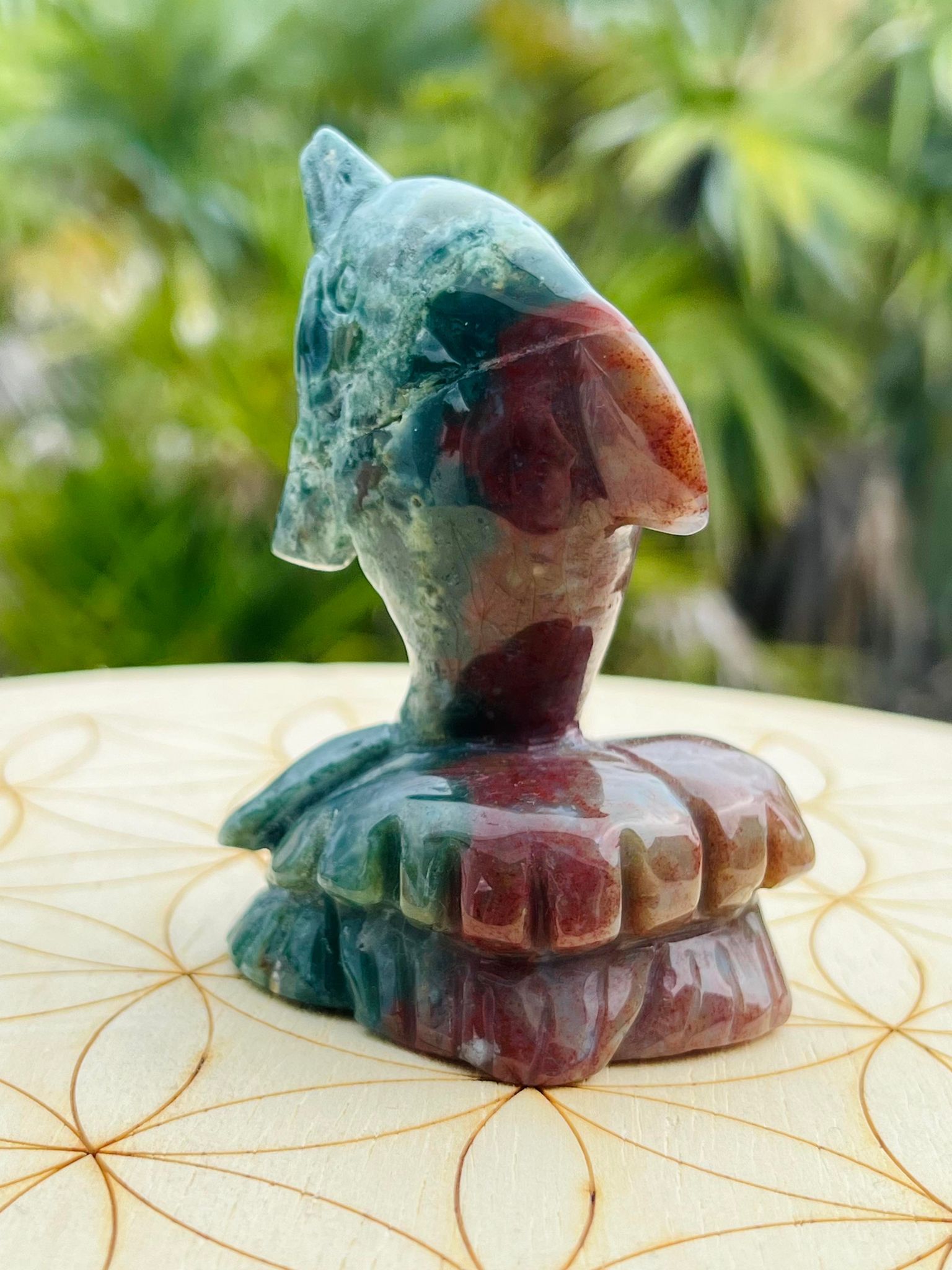 Ocean Jasper Dolphin