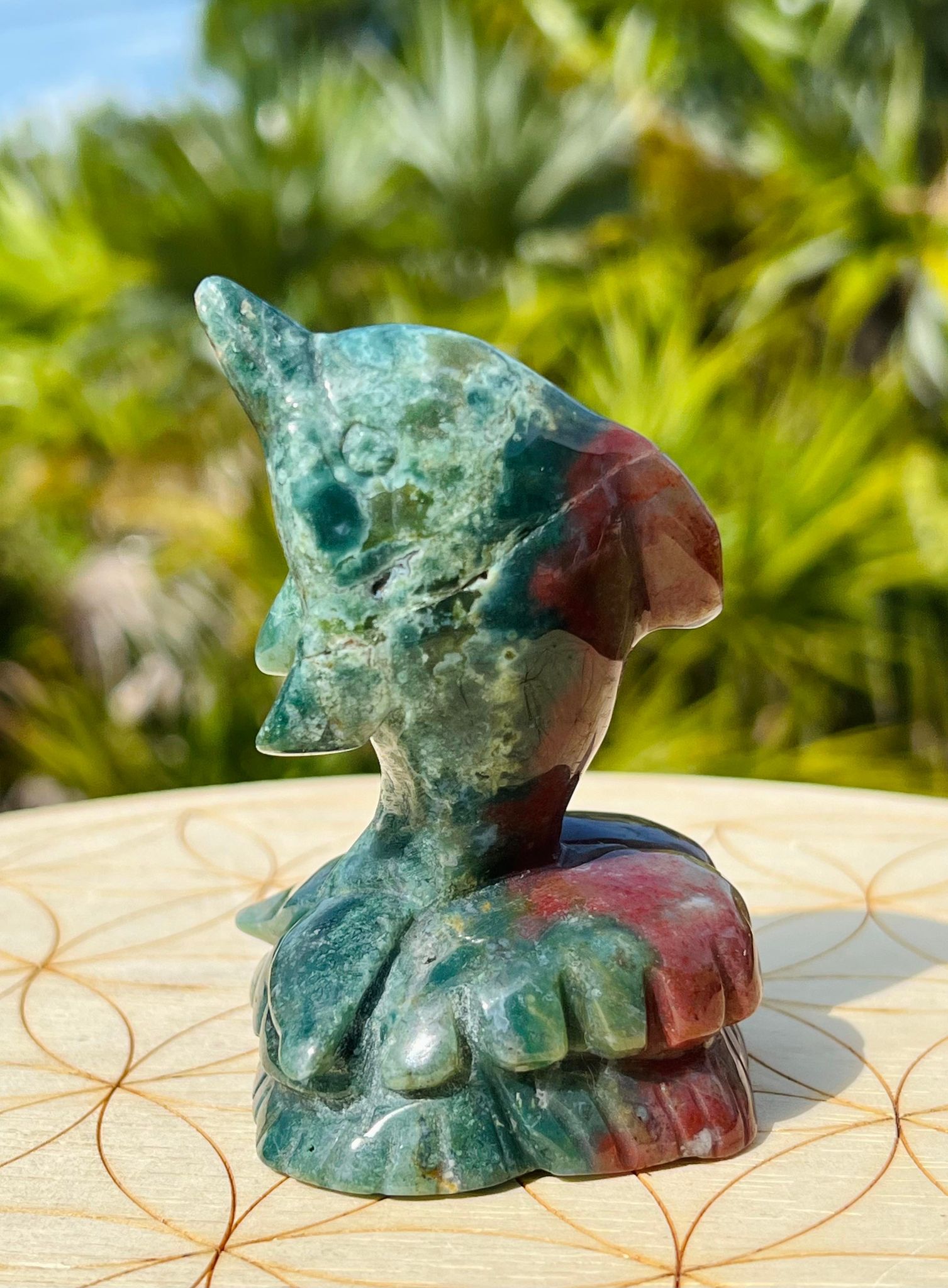 Ocean Jasper Dolphin