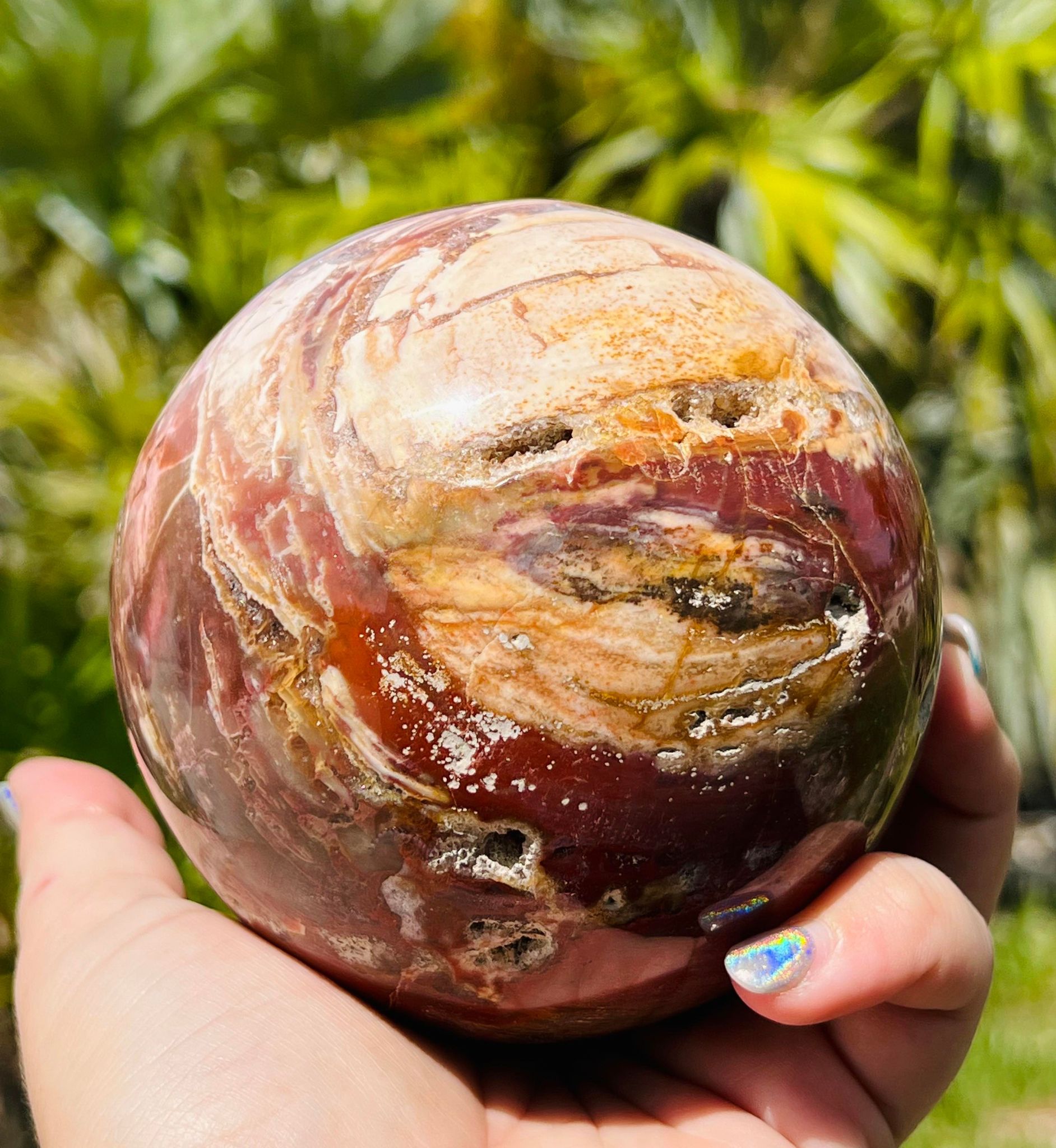 Petrified wood sphere (XLarge)