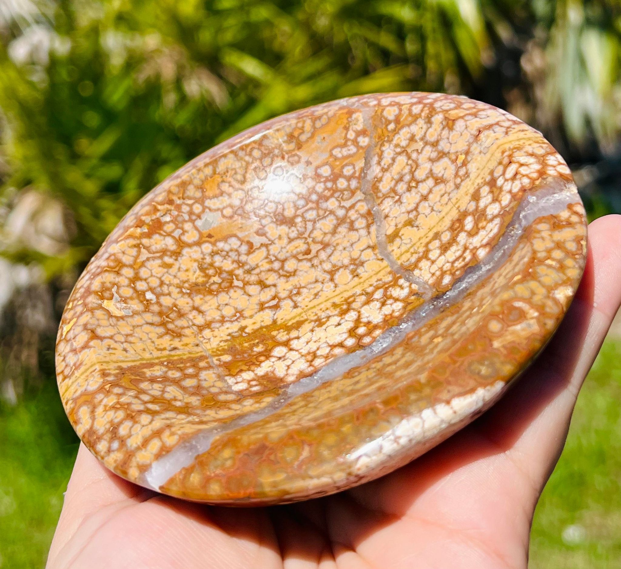 Druzy Ocean Jasper Crystal Bowl