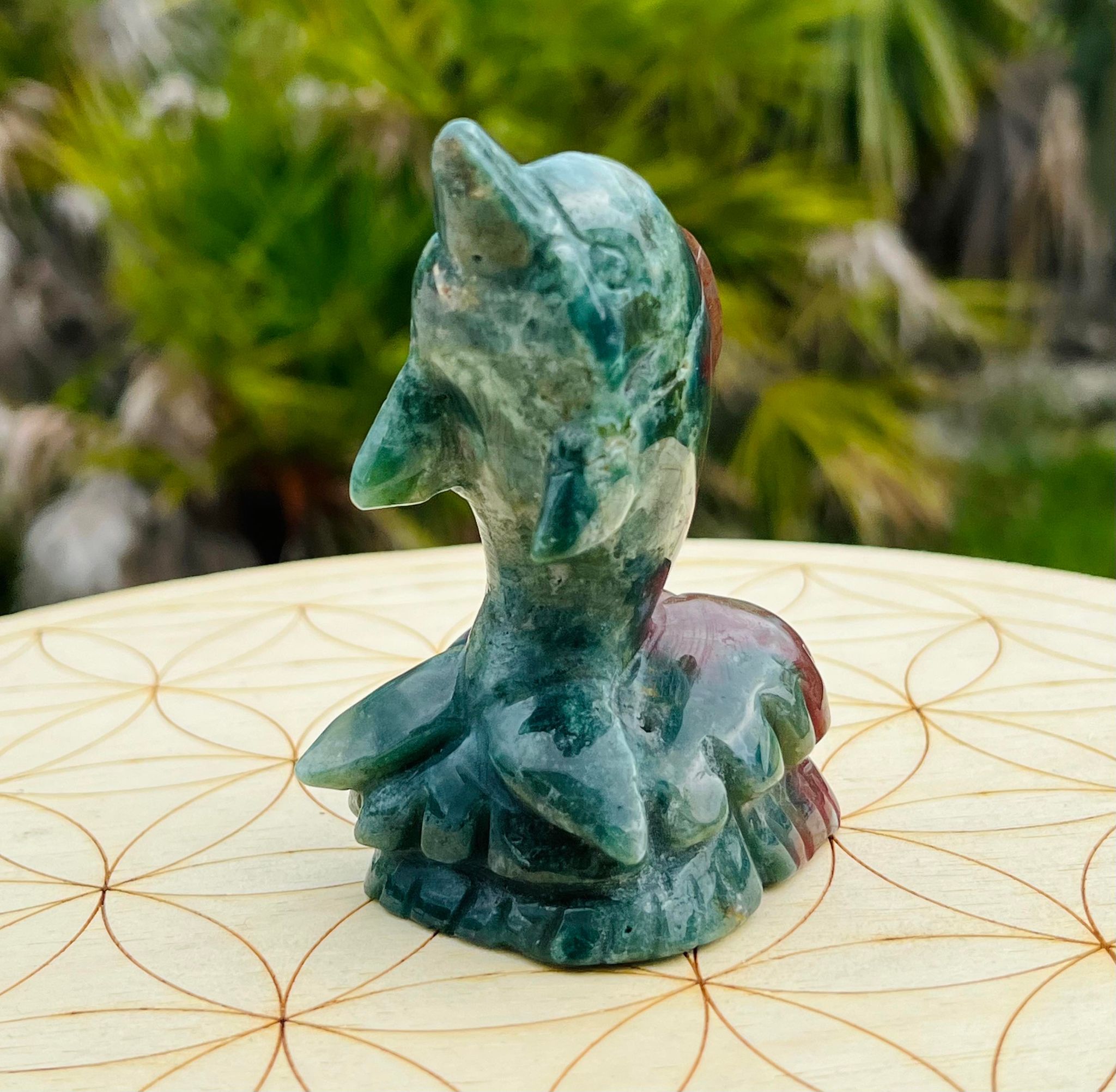 Ocean Jasper Dolphin