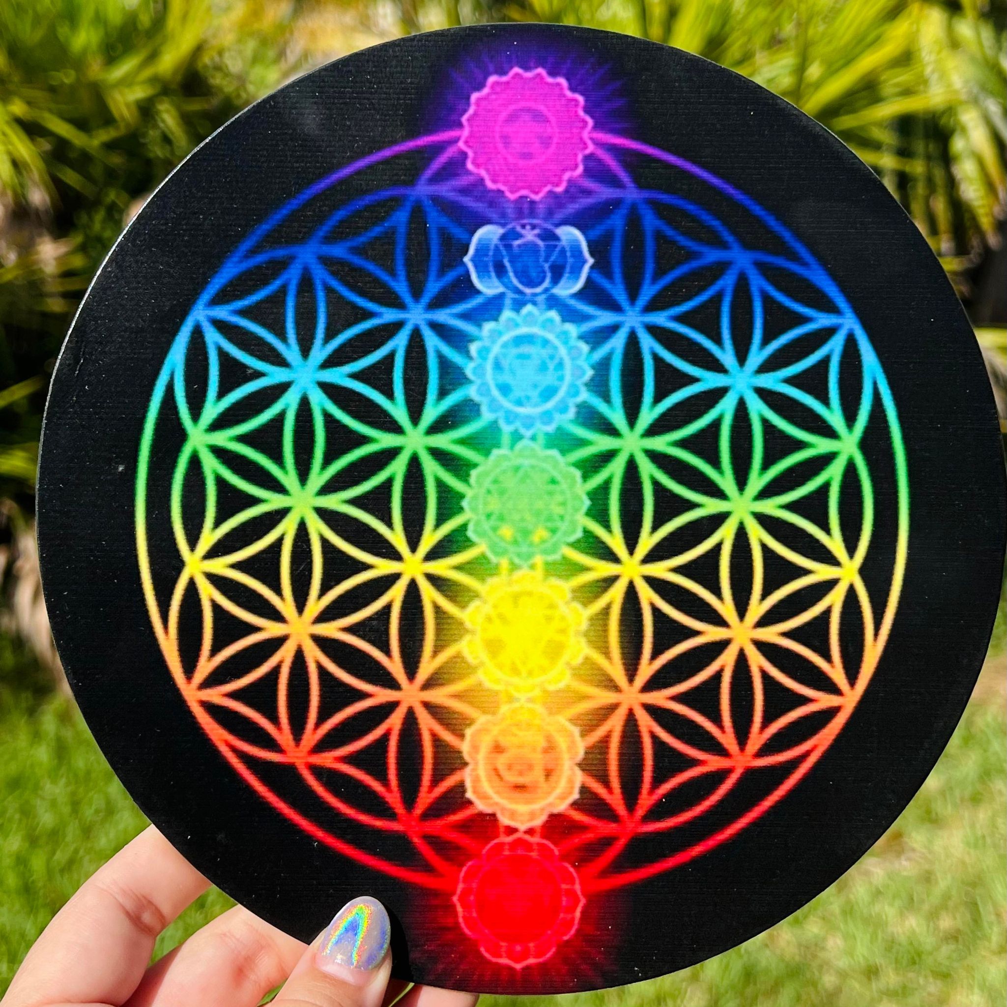 Chakra Crystal Grid Disk (Large)