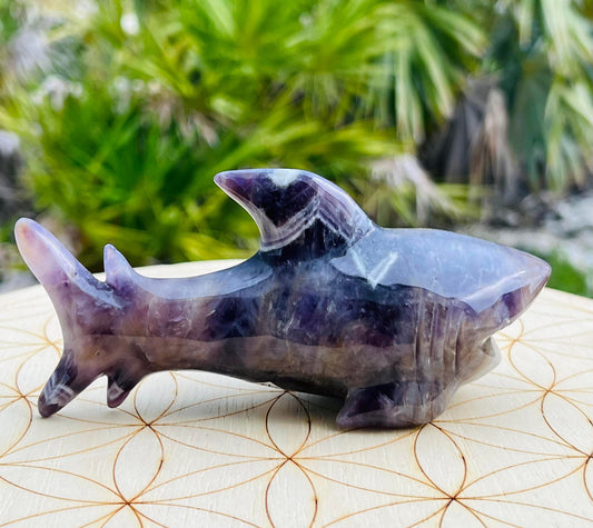 Rare Chevron Dream Amethyst Shark (Large)