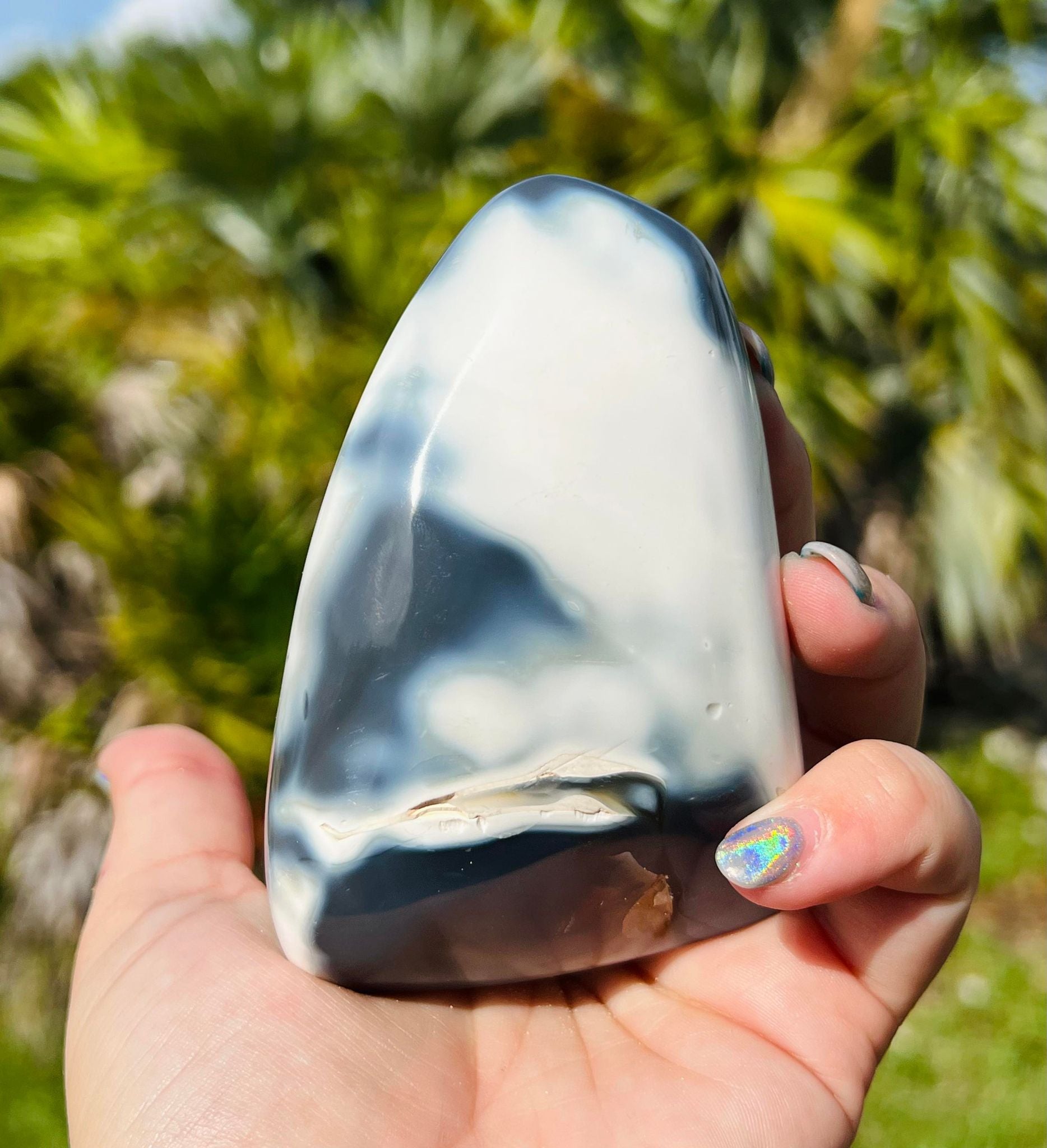 Orca Agate Freeform