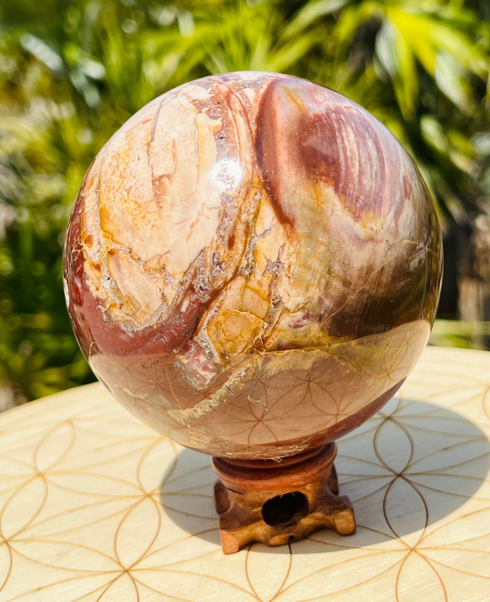 Petrified wood sphere (XLarge)