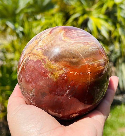 Petrified wood sphere (XLarge)