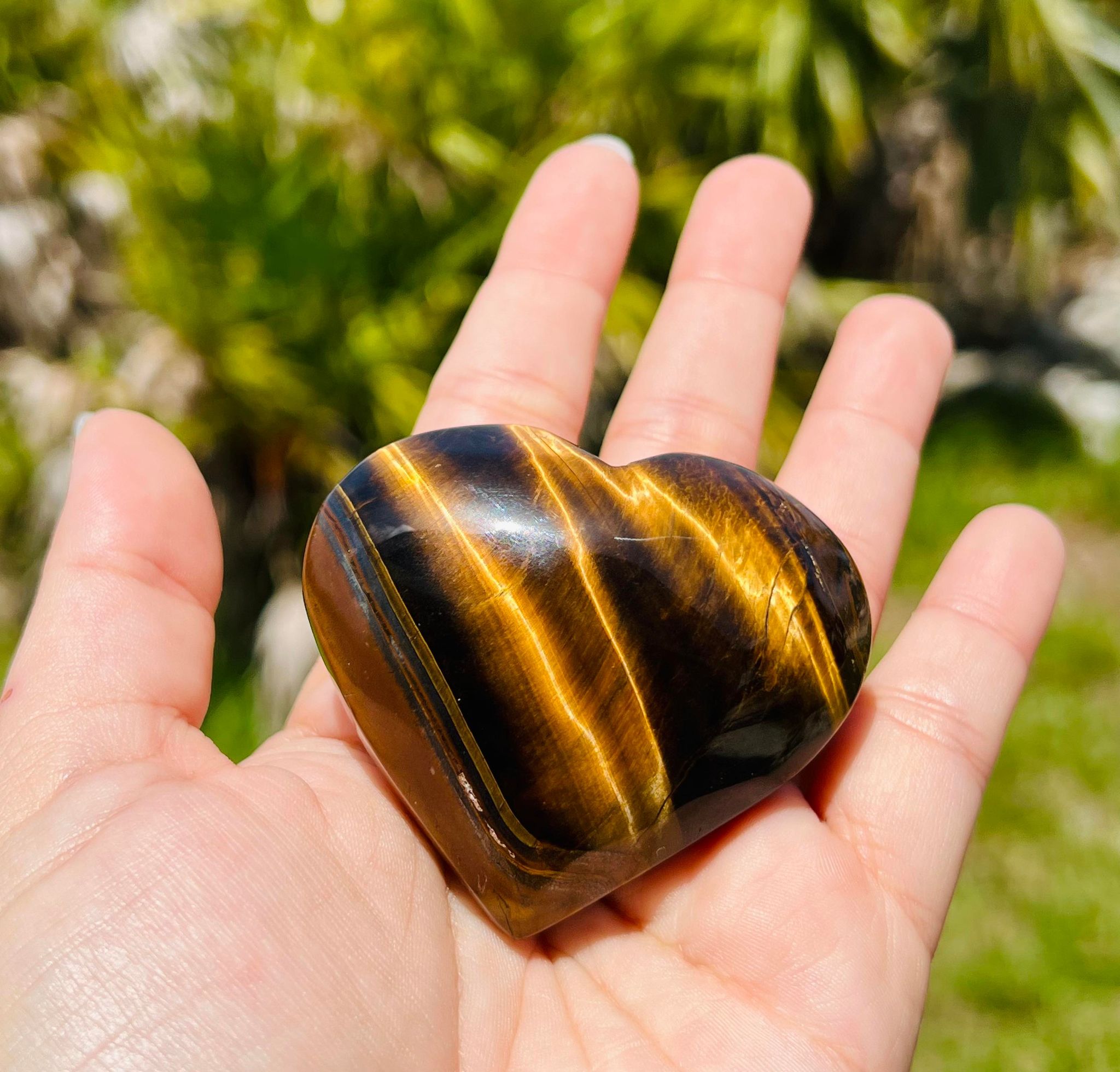 Tiger Eye Heart