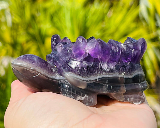 Druzy Healing Amethyst Turtle XL