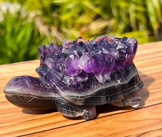 Druzy Healing Amethyst Turtle XL