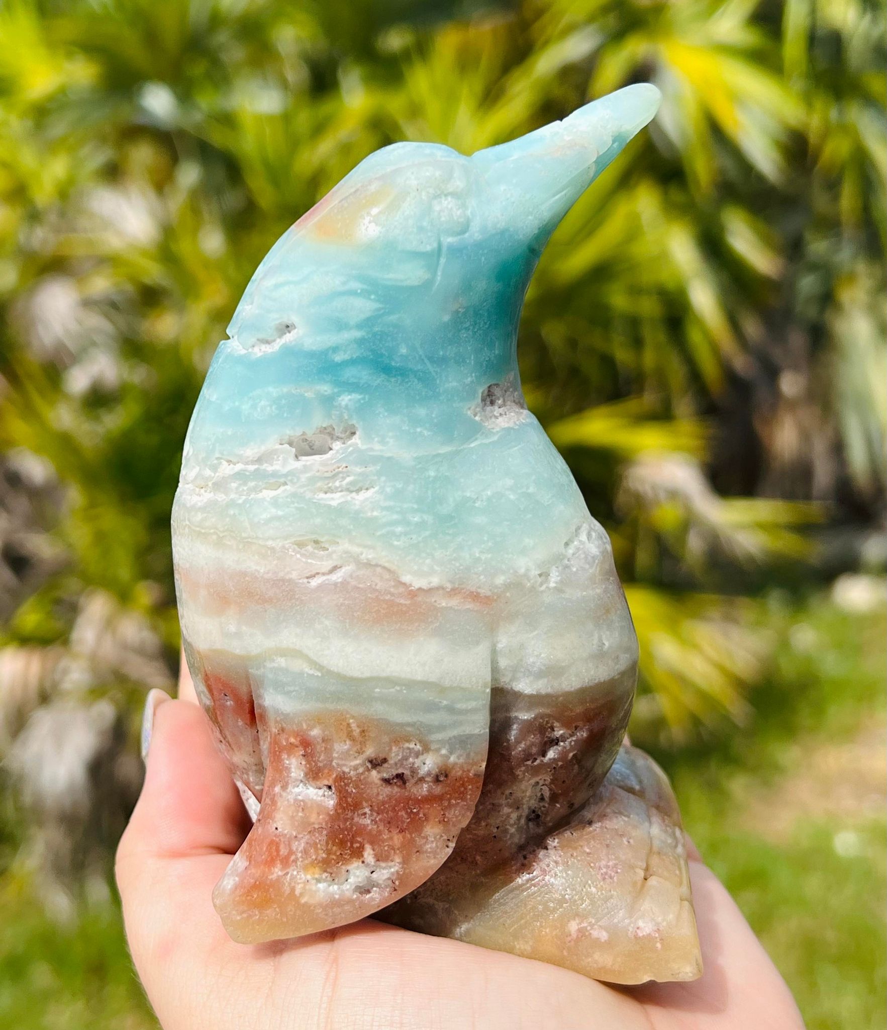 Blue Aragonite XL Penguin