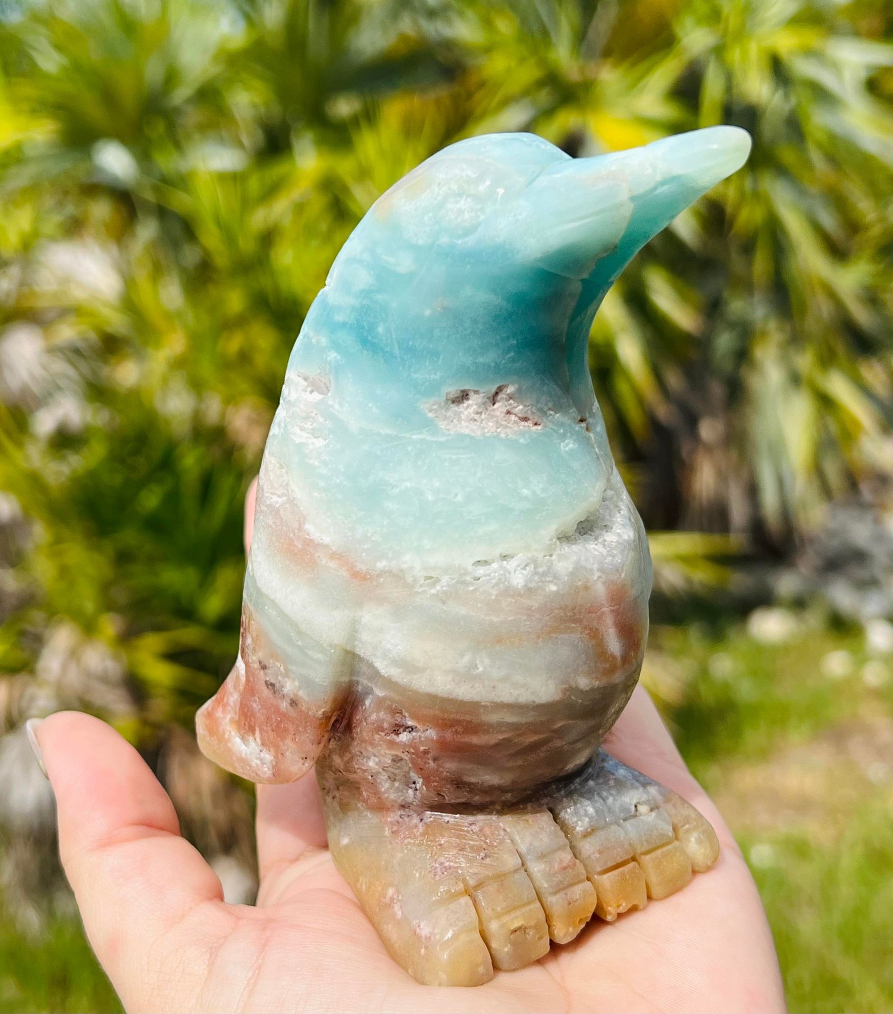 Blue Aragonite XL Penguin