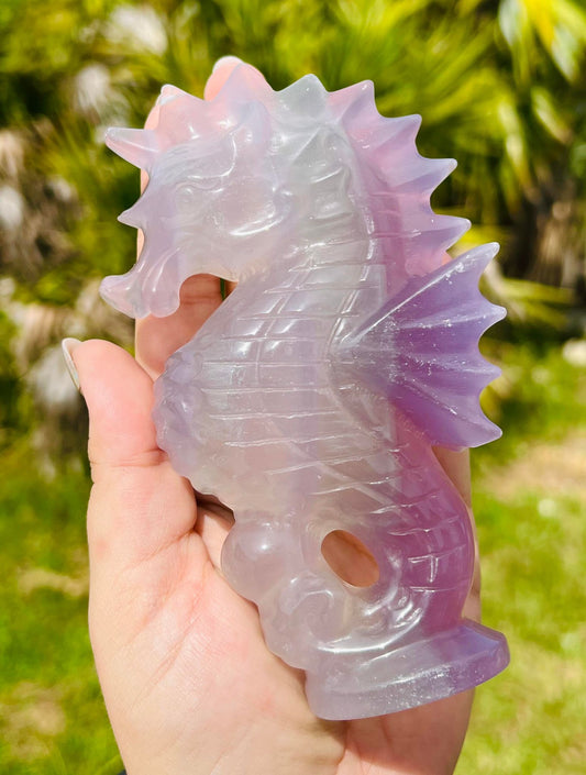 Rainbow fluorite Seahorse XL