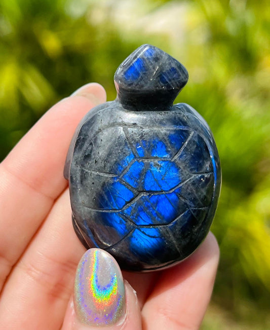Labradorite Sea Turtle