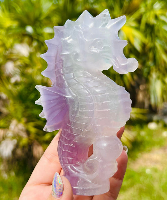 Rainbow fluorite Seahorse XL