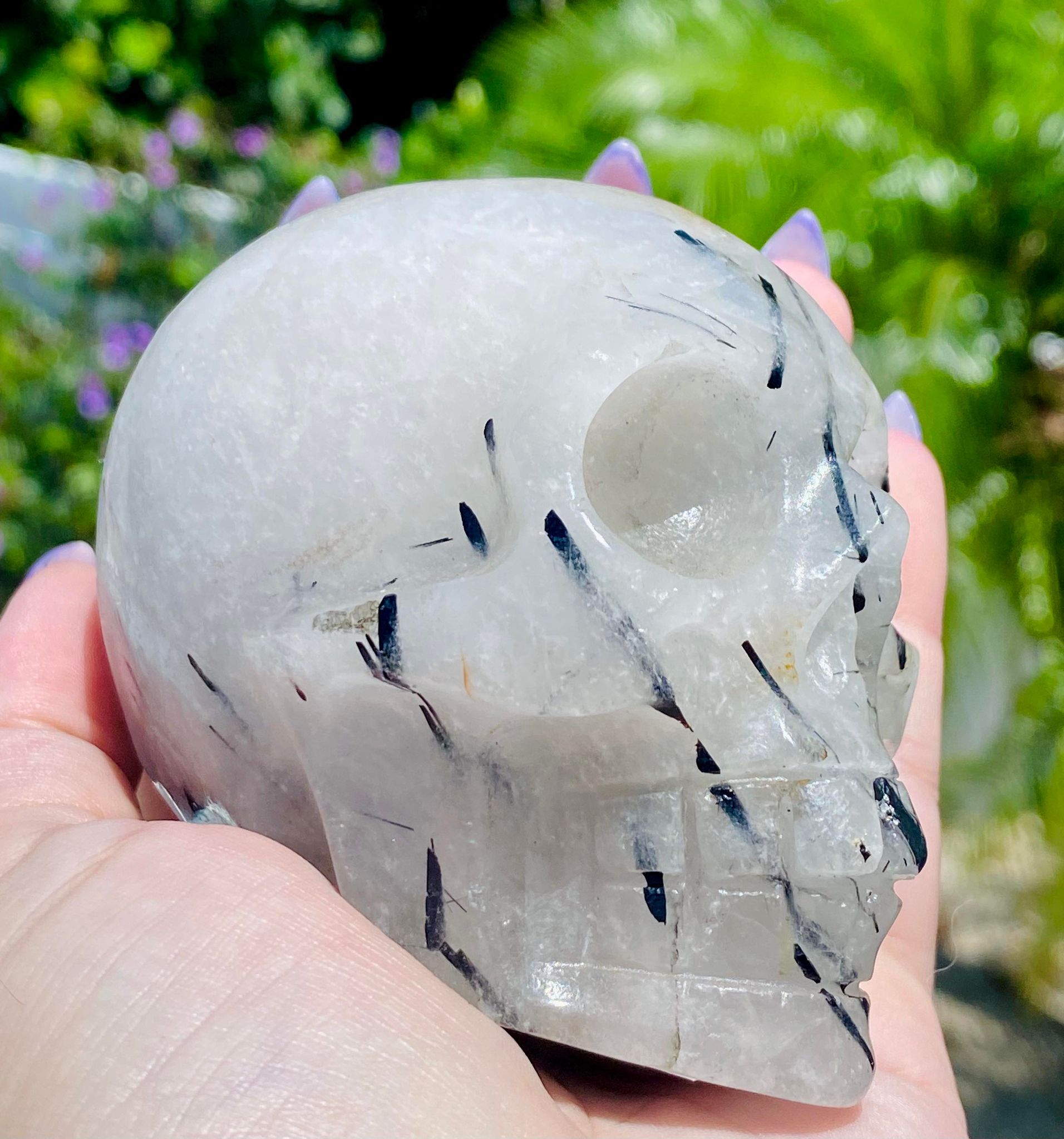 Black tourmaline & Quartz Skull Carving XL