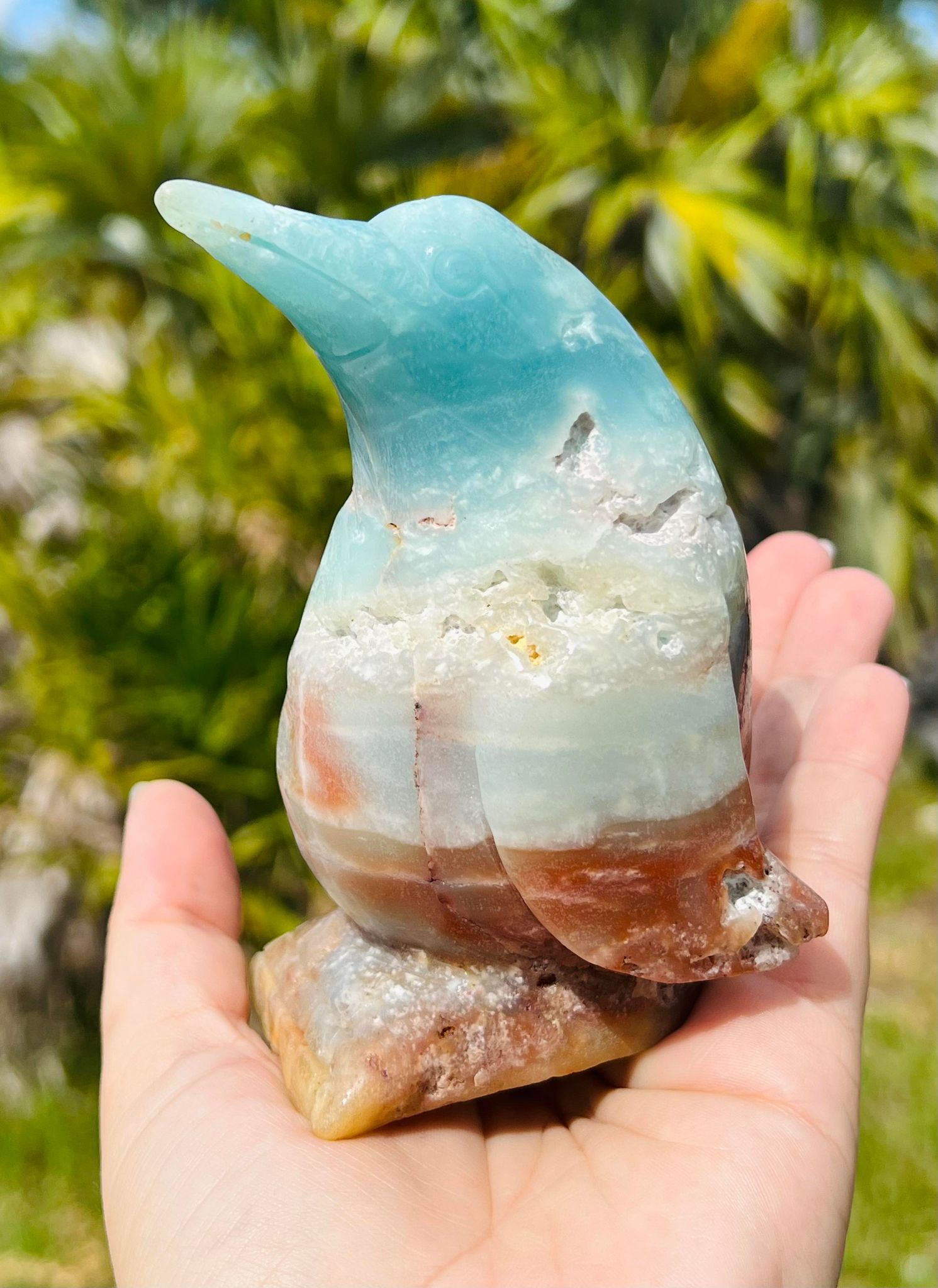 Blue Aragonite XL Penguin