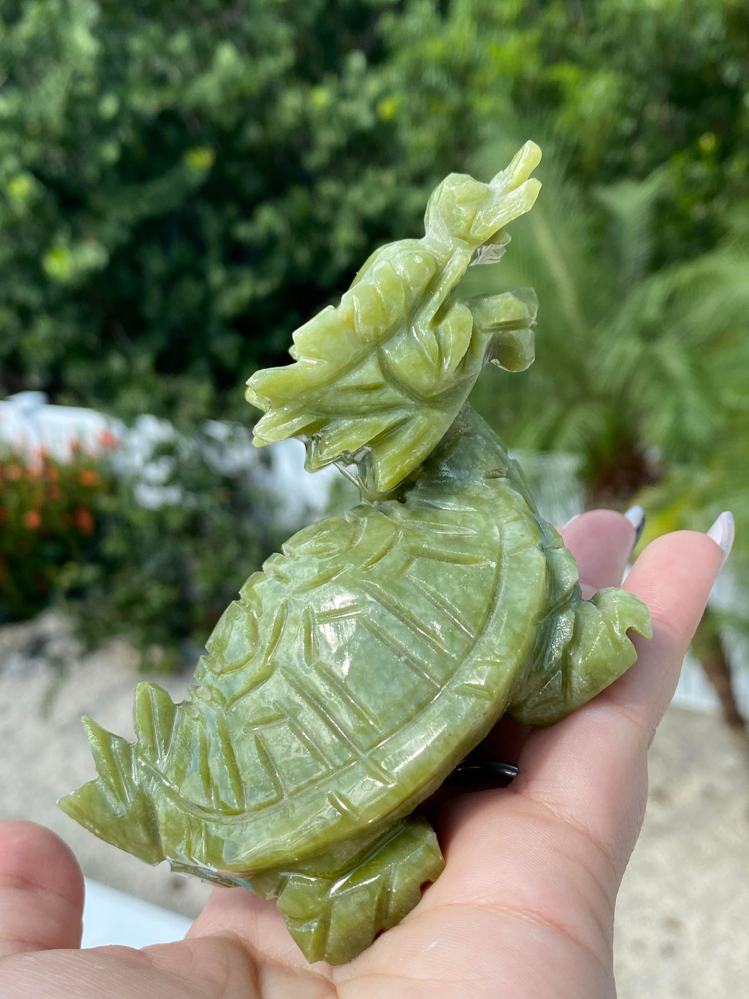 Natural Jade Dragon Turtle